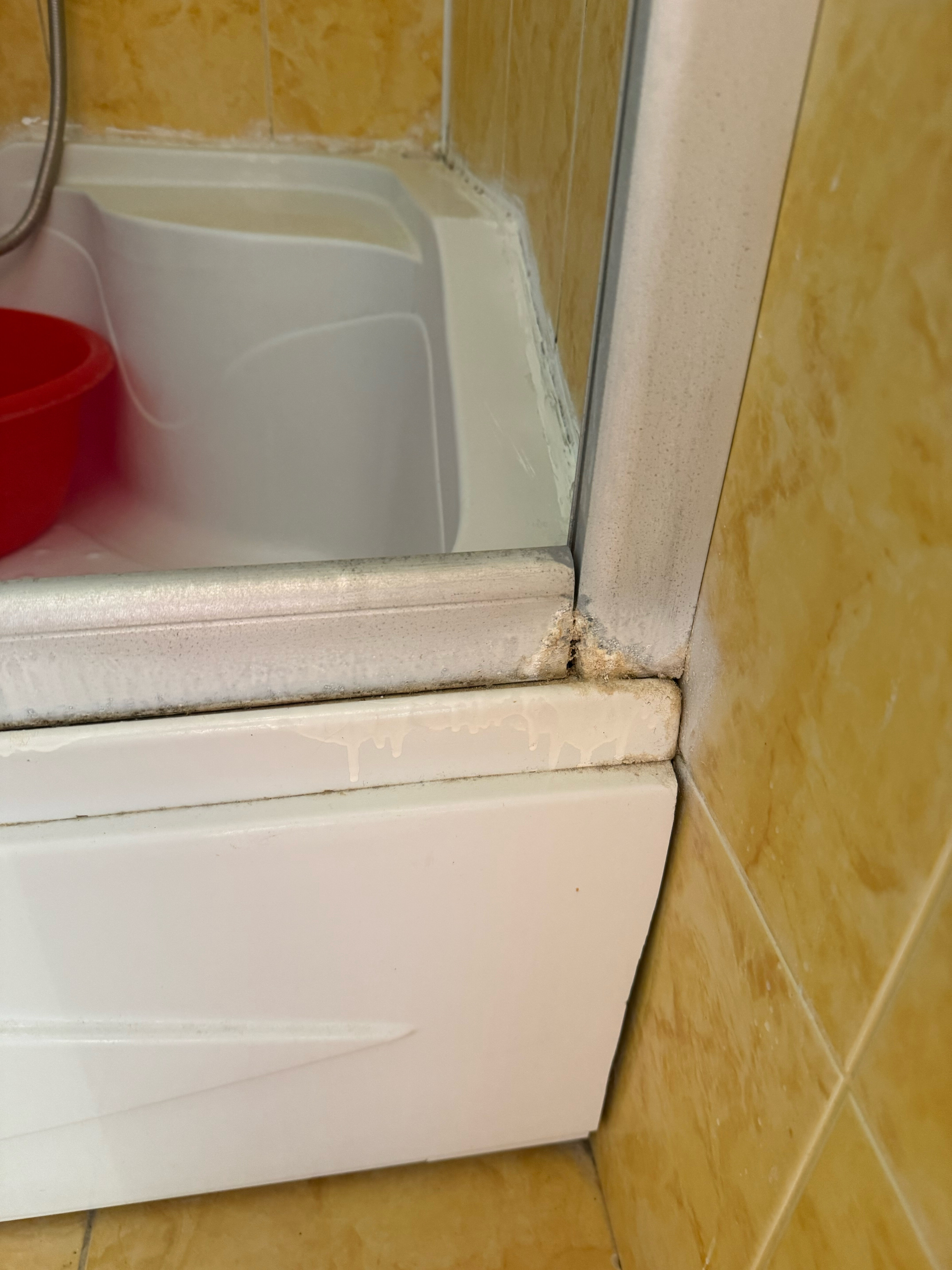 Фото Форвард