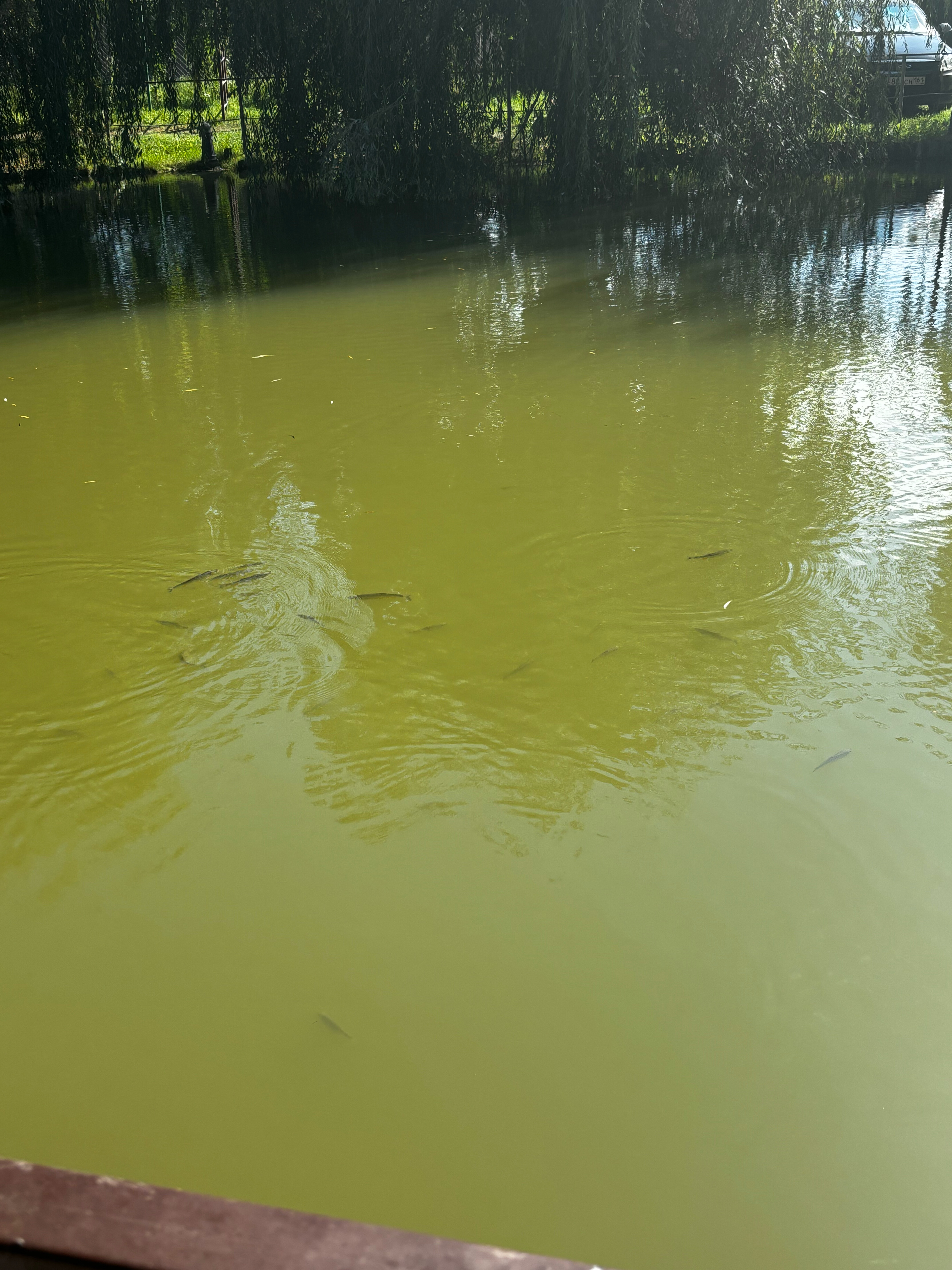 Фото Дом у озера