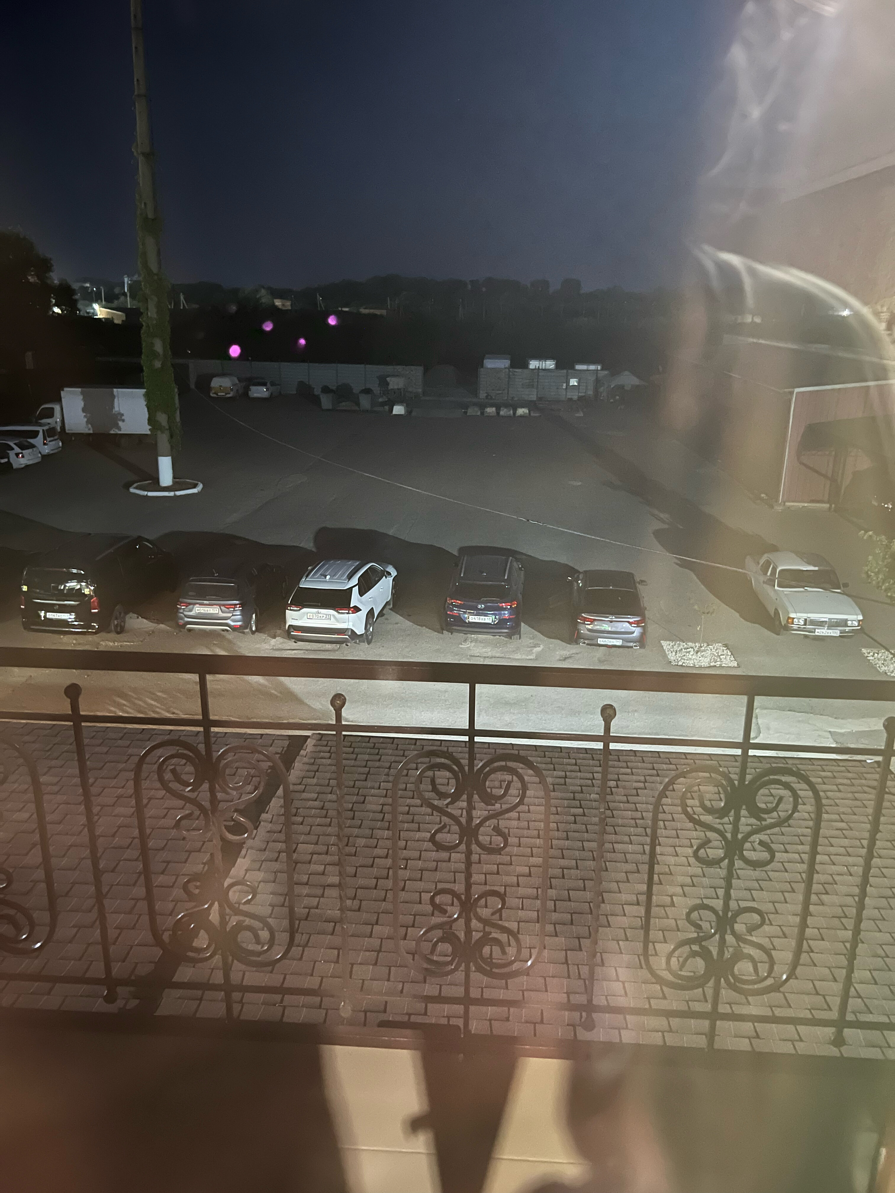 Фото Березка