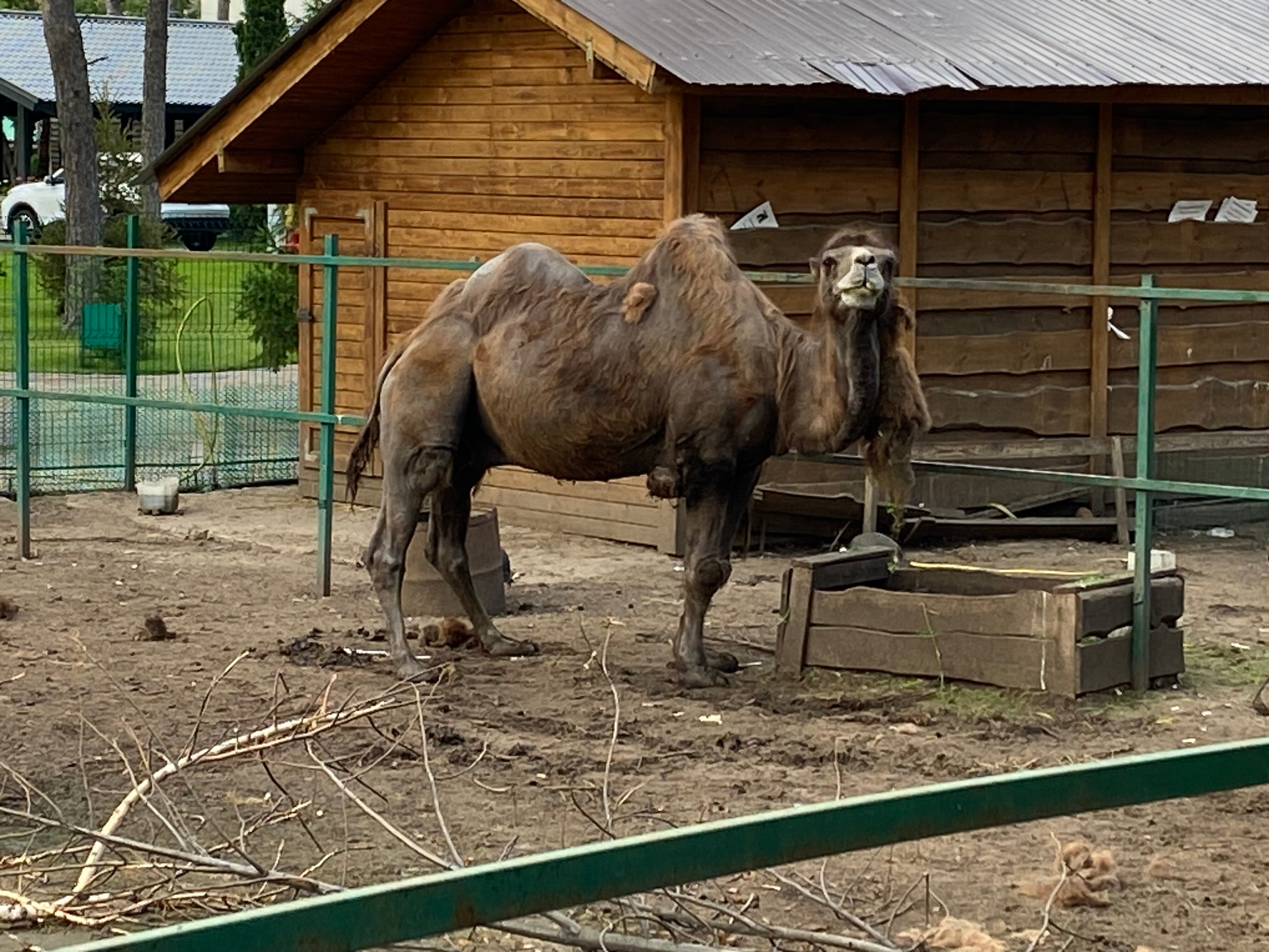 Фото Восьмая миля