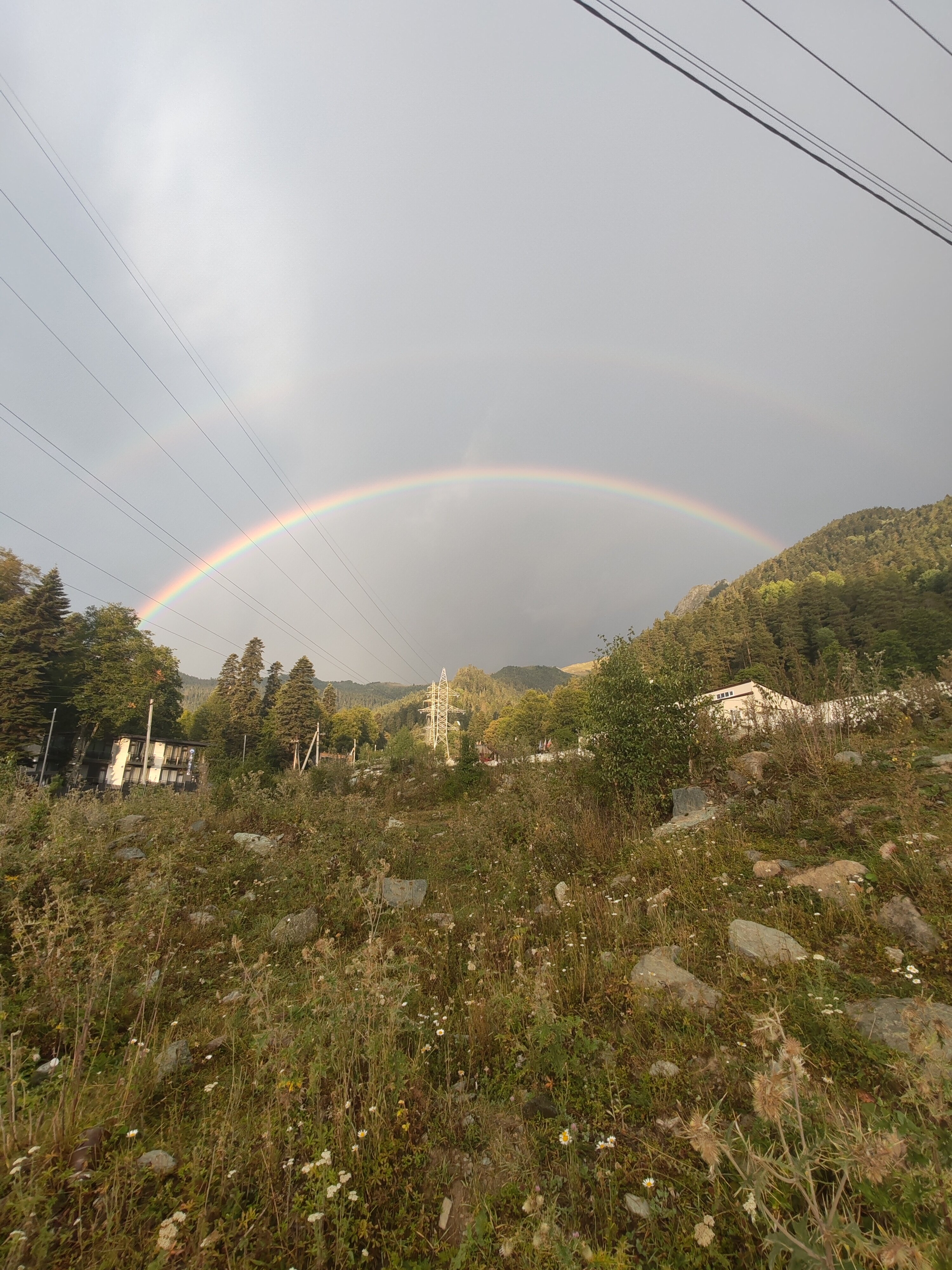 Фото Горный родник