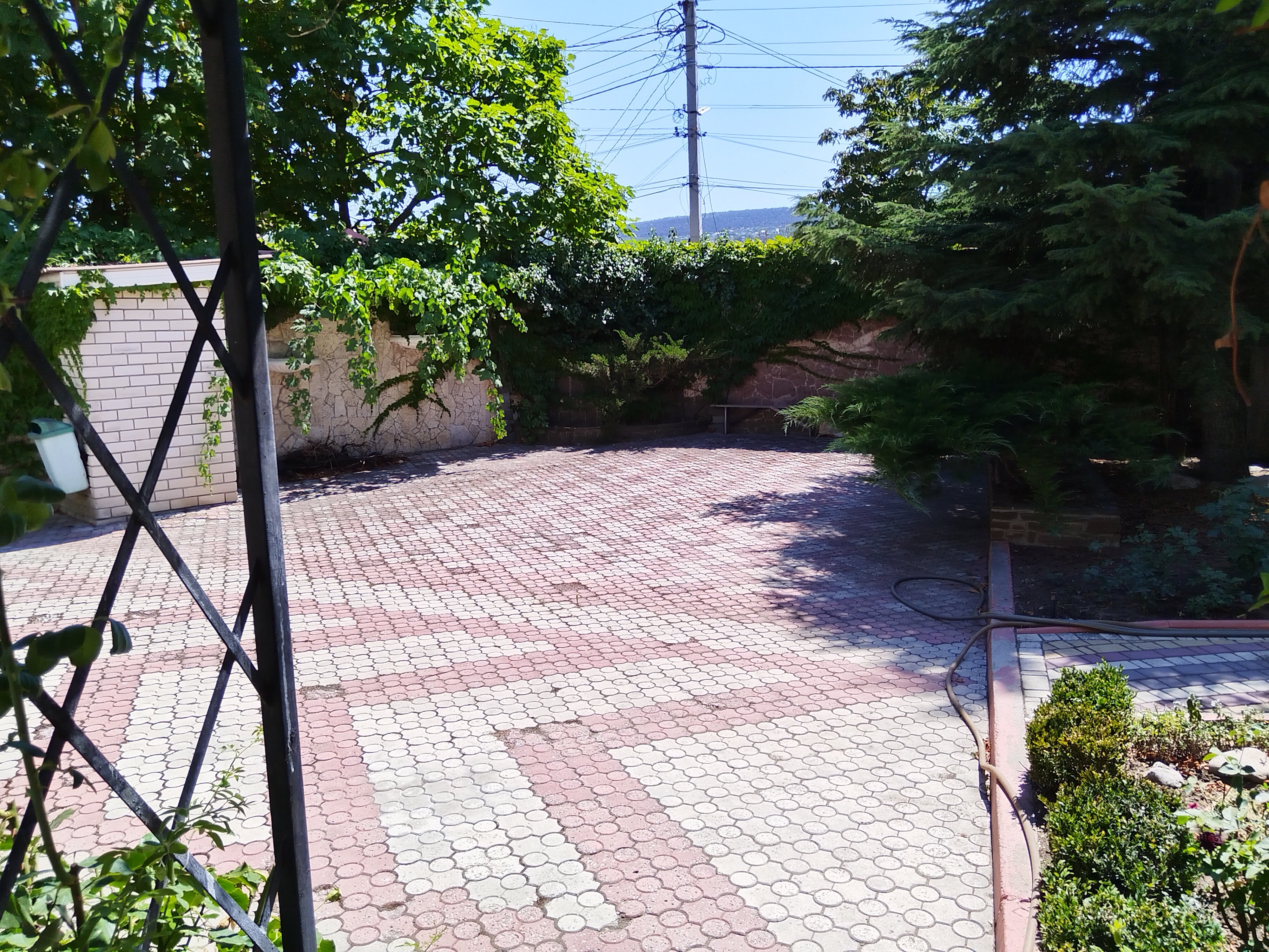 Фото Mango Hotel