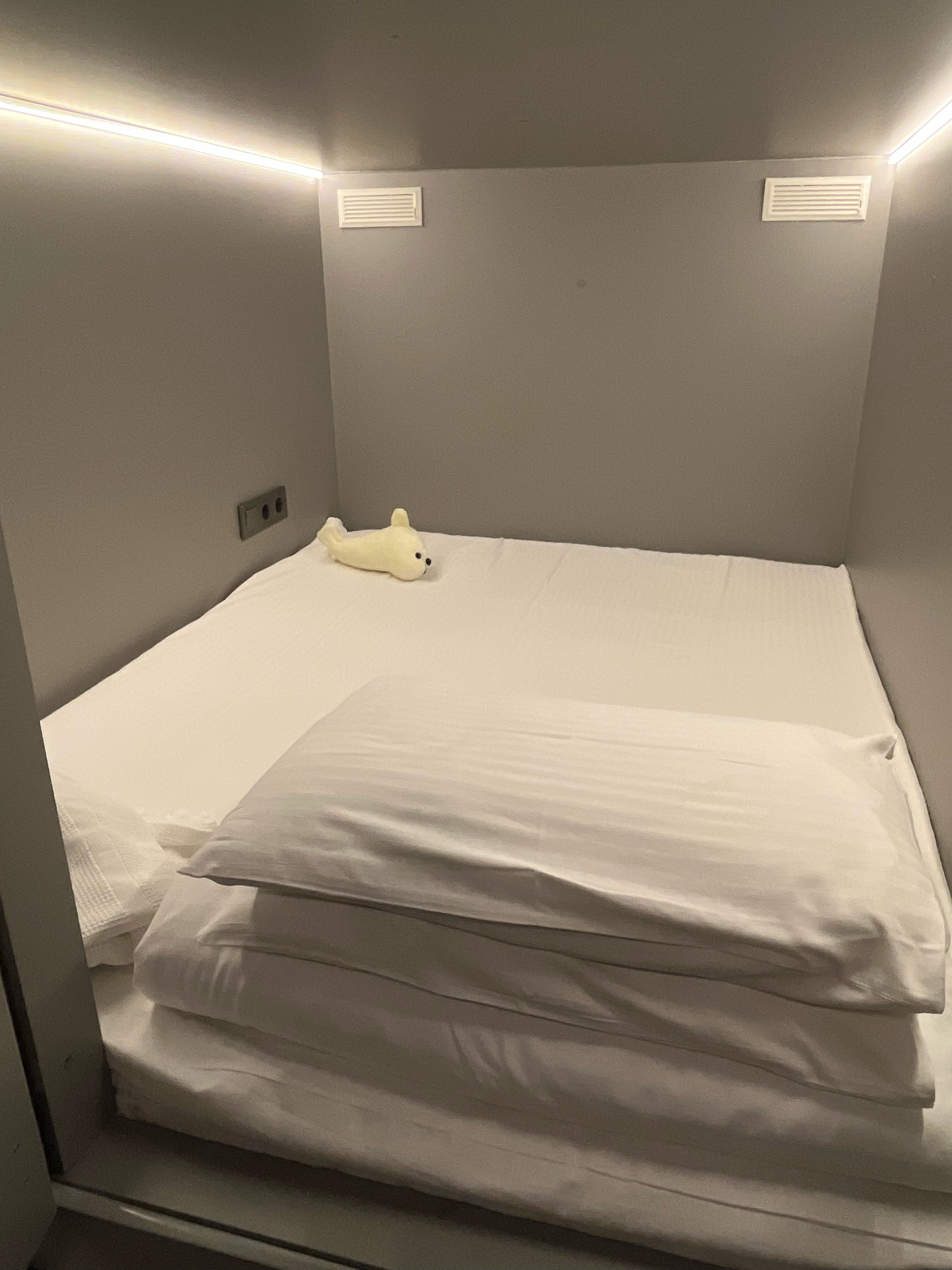 Фото Капсульный лаунж-отель 17/3