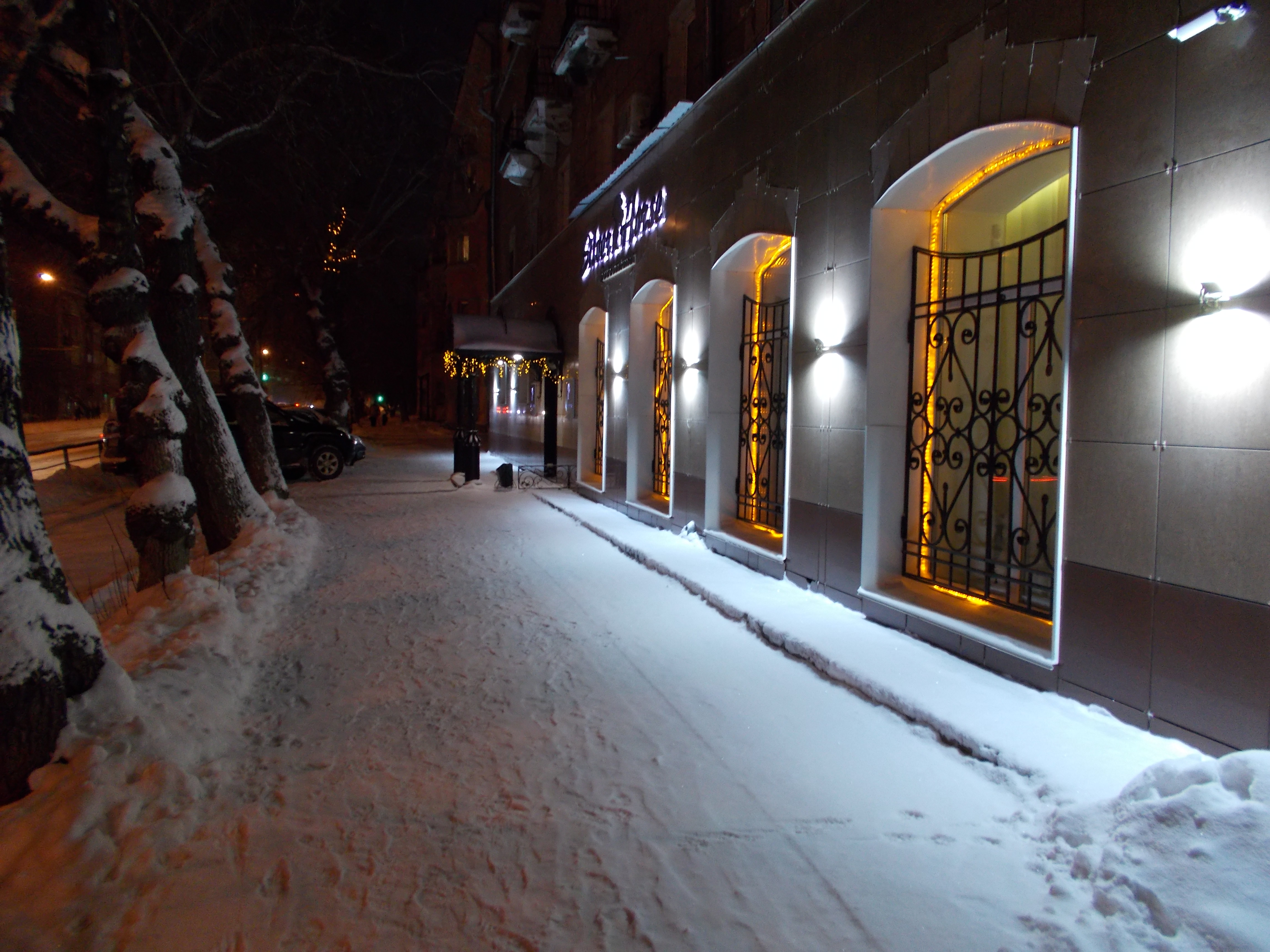 Фото Серебряная лошадь