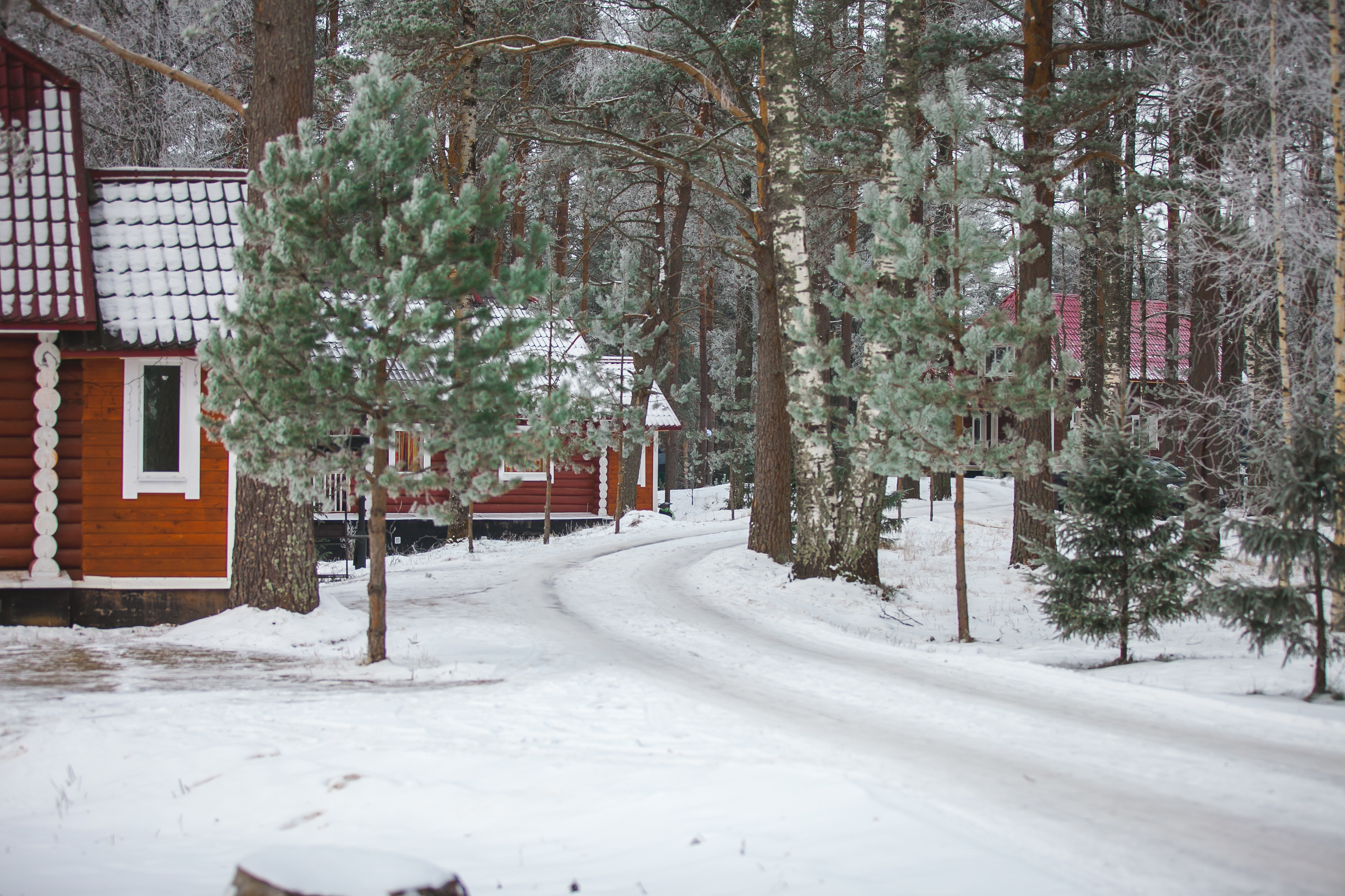 Фото Алёнушка