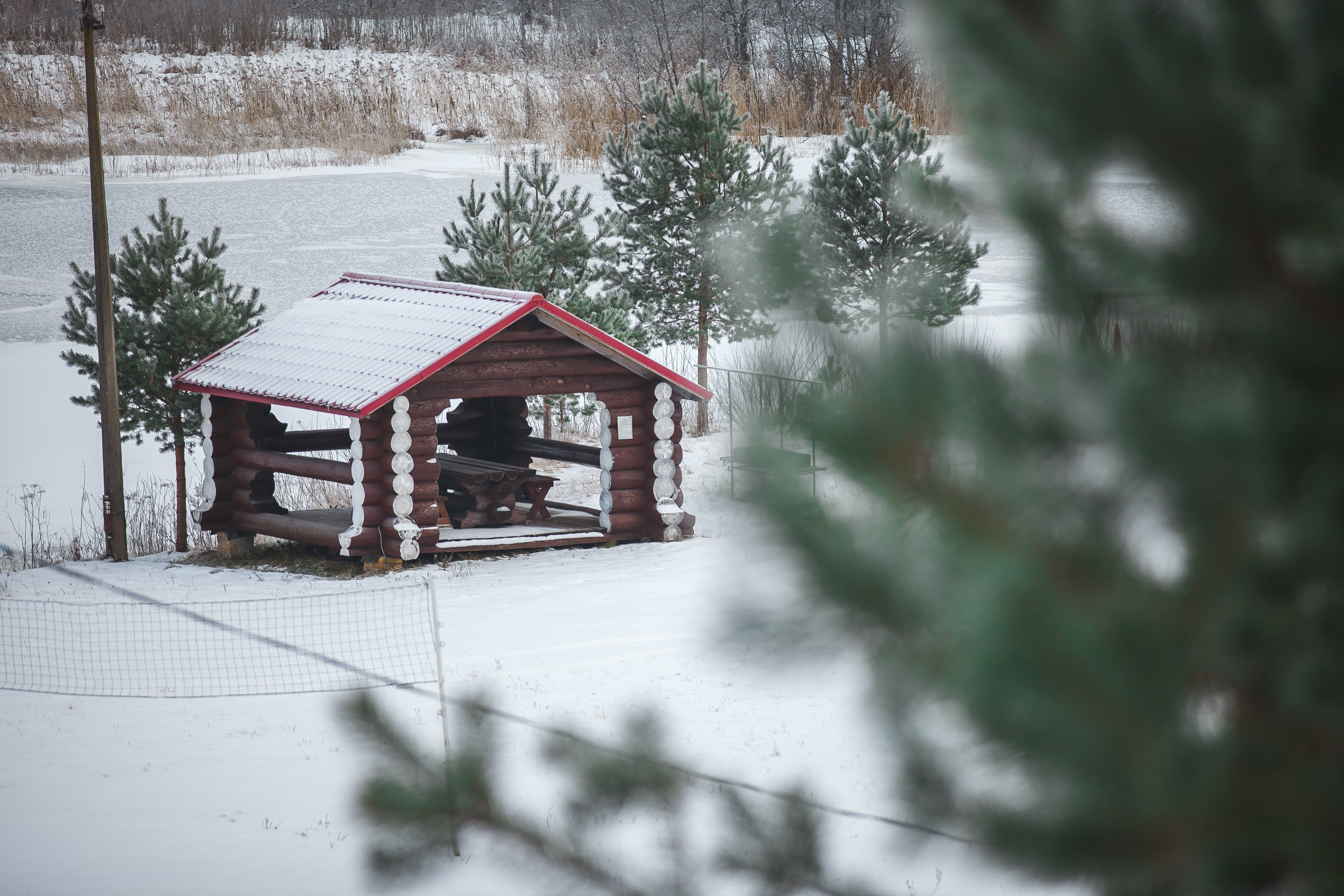 Фото Алёнушка