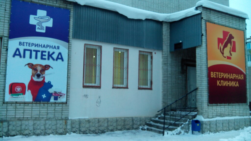 Карта ветеринарной клиники