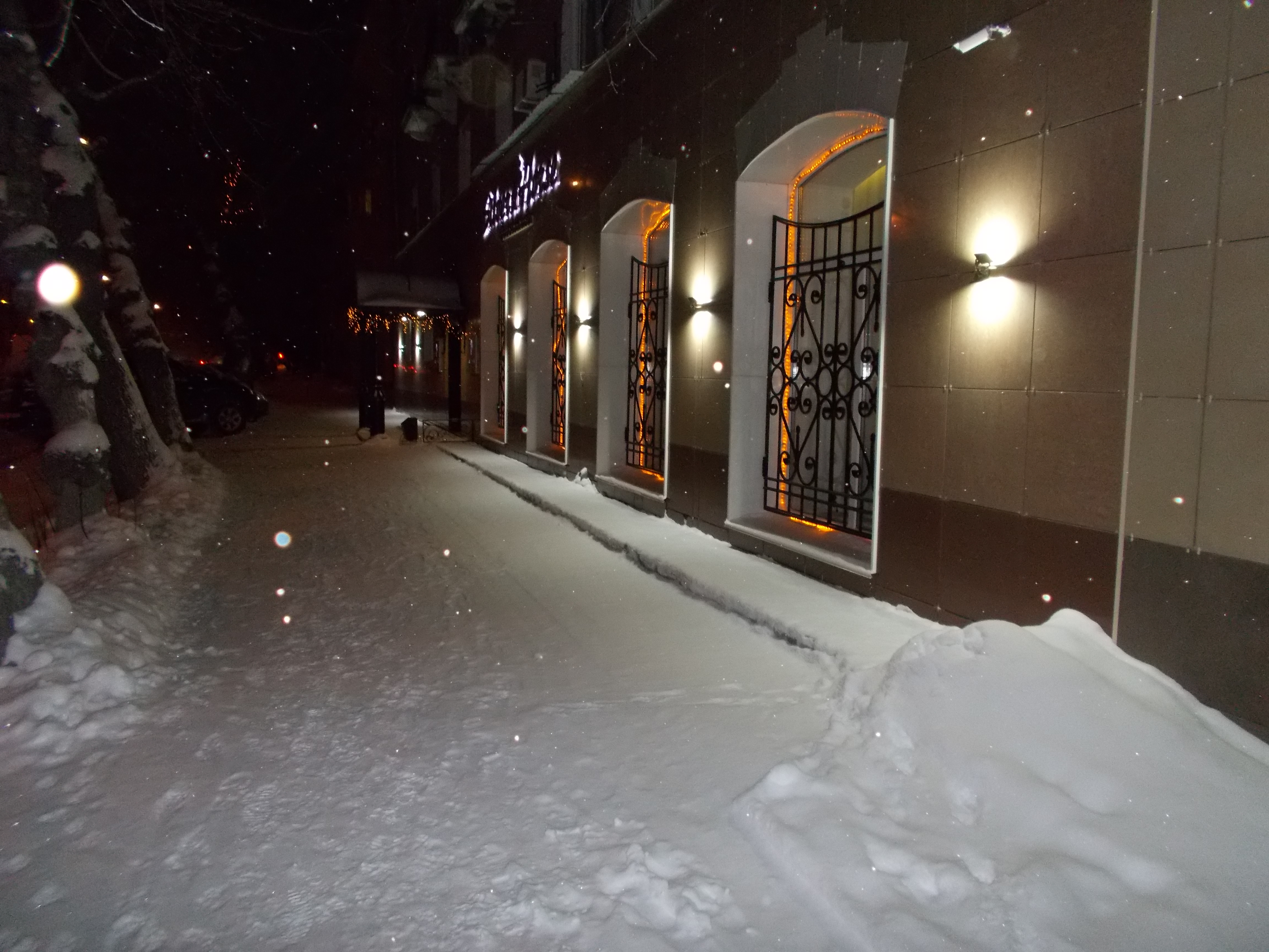 Фото Серебряная лошадь