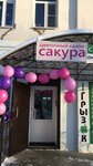 Сакура (Kominterna Street, 44), flower shop