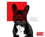 Ours - internet-agency (Starosilska Street, 1К), advertising agency