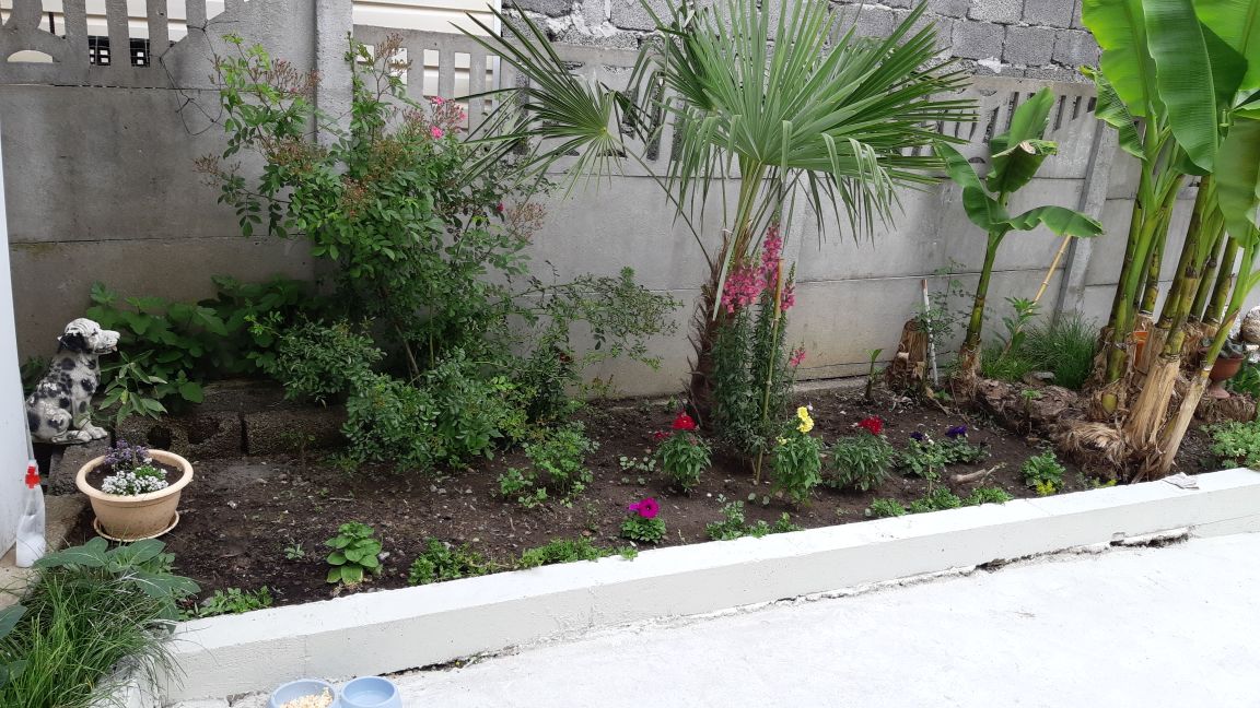 Фото Анжелика