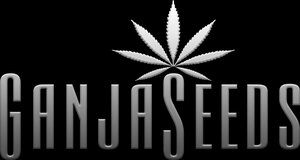 Ganjaseeds Магазин Семян