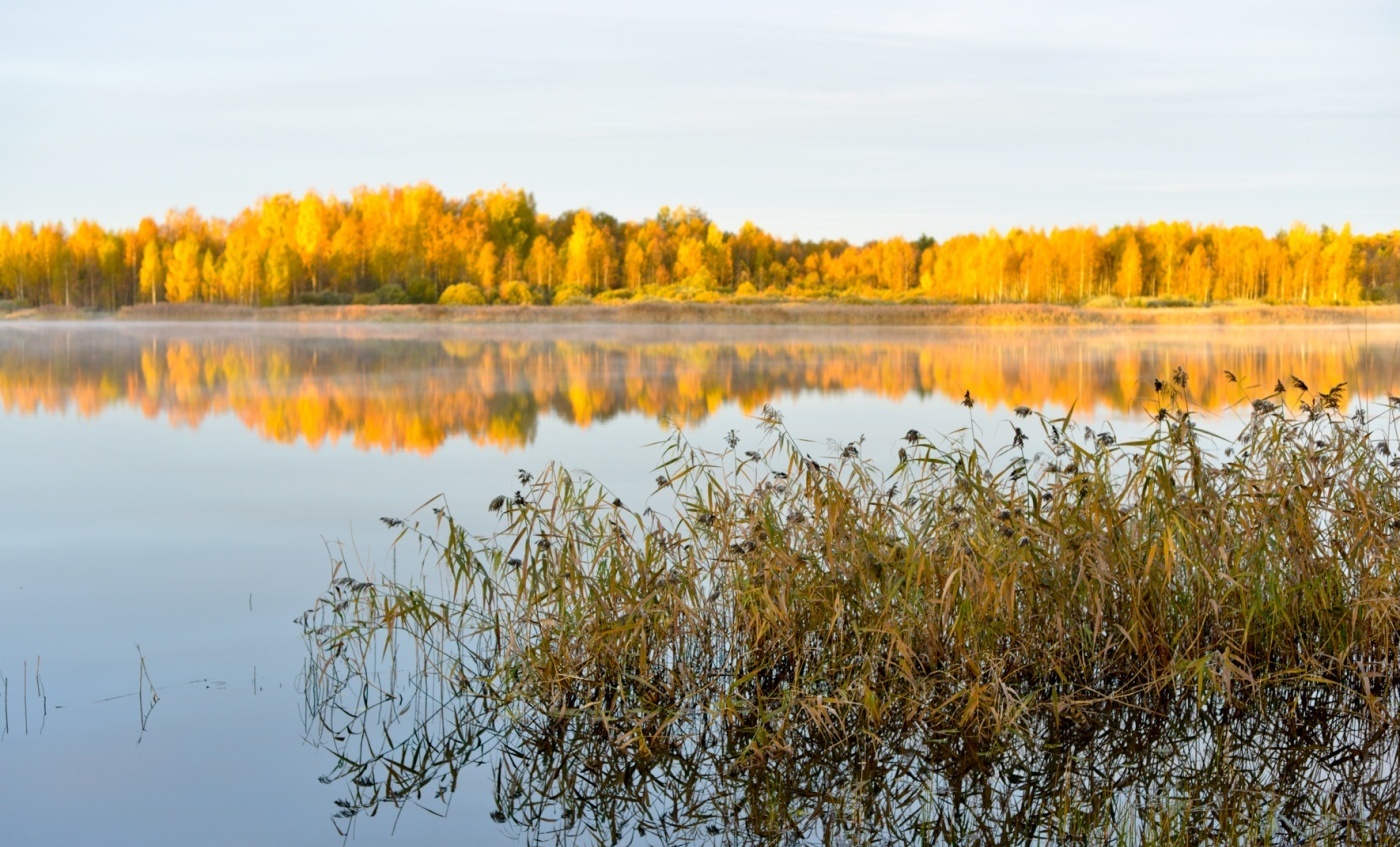 Фото Селигер для вас
