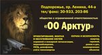 Арктур (prospekt Lenina, 44А), security company