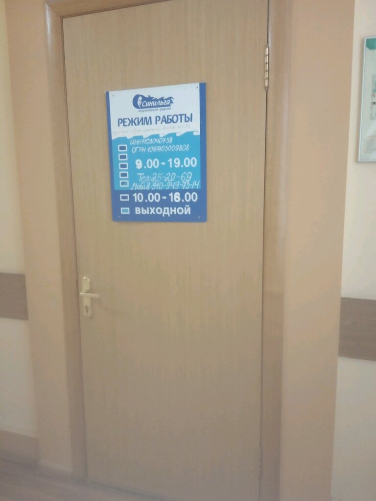 Travel agency Turisticheskoye agentstvo Sinilga, Tula, photo