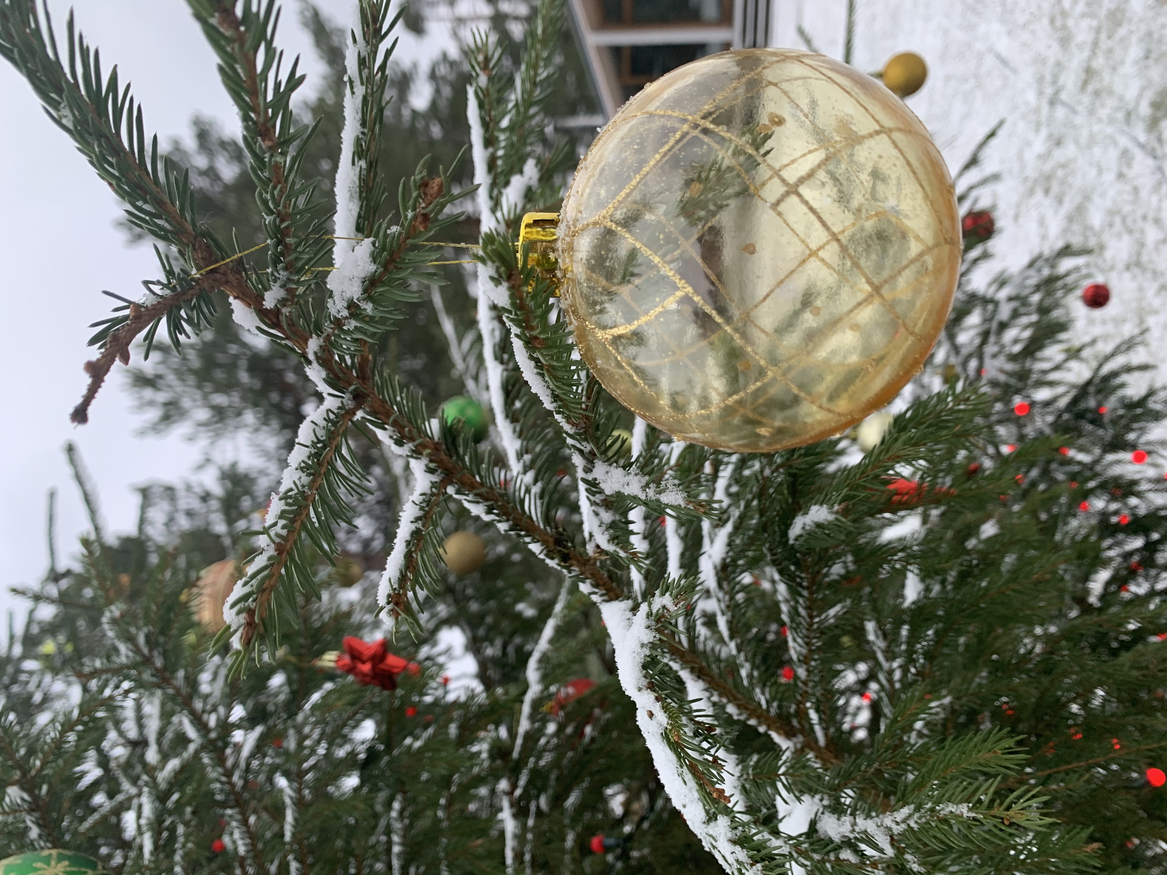 Фото Талицы Лодж