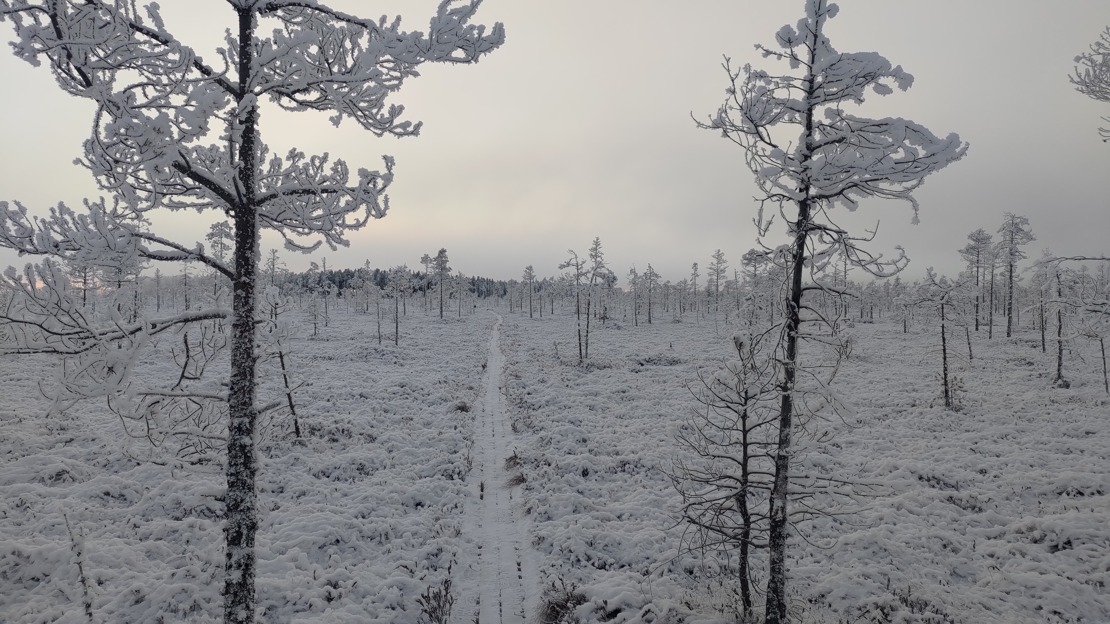 Фото Прибрежный