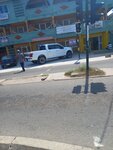 Travel Places Limited (Lokko Street, 8), agencia de viajes