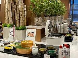 Гостиница Sapporo Washington Hotel Plaza