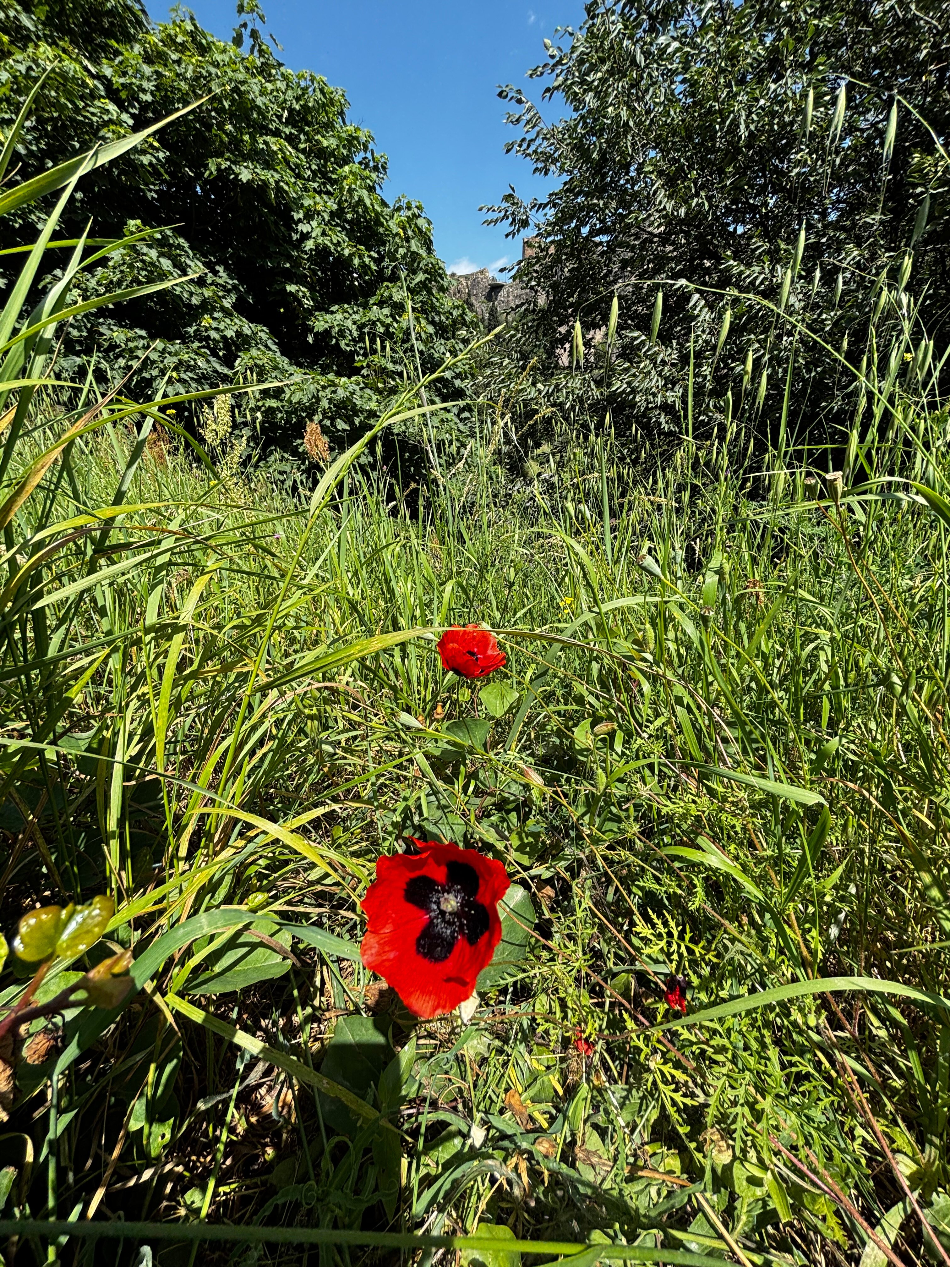 Фото Tbilisi Inn