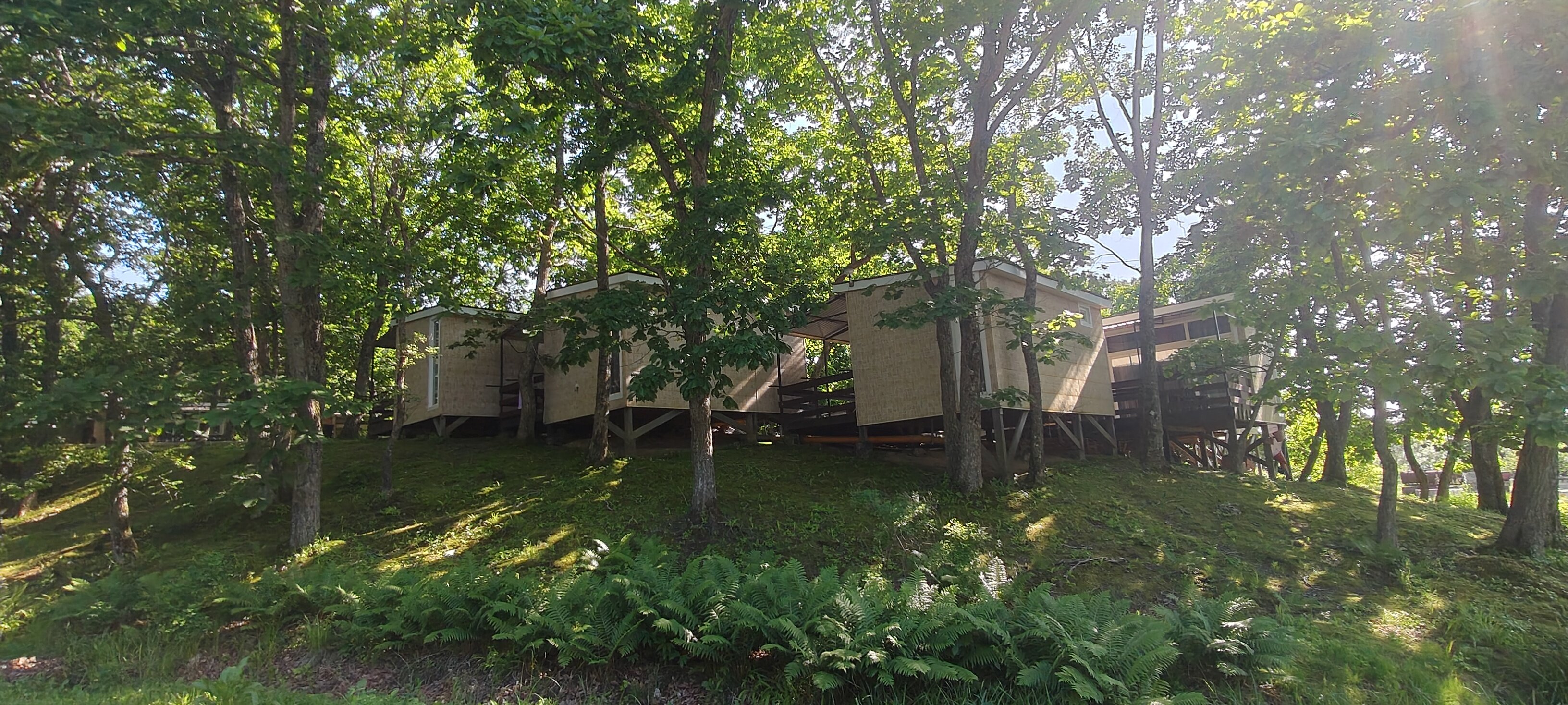 Фото Ковчег