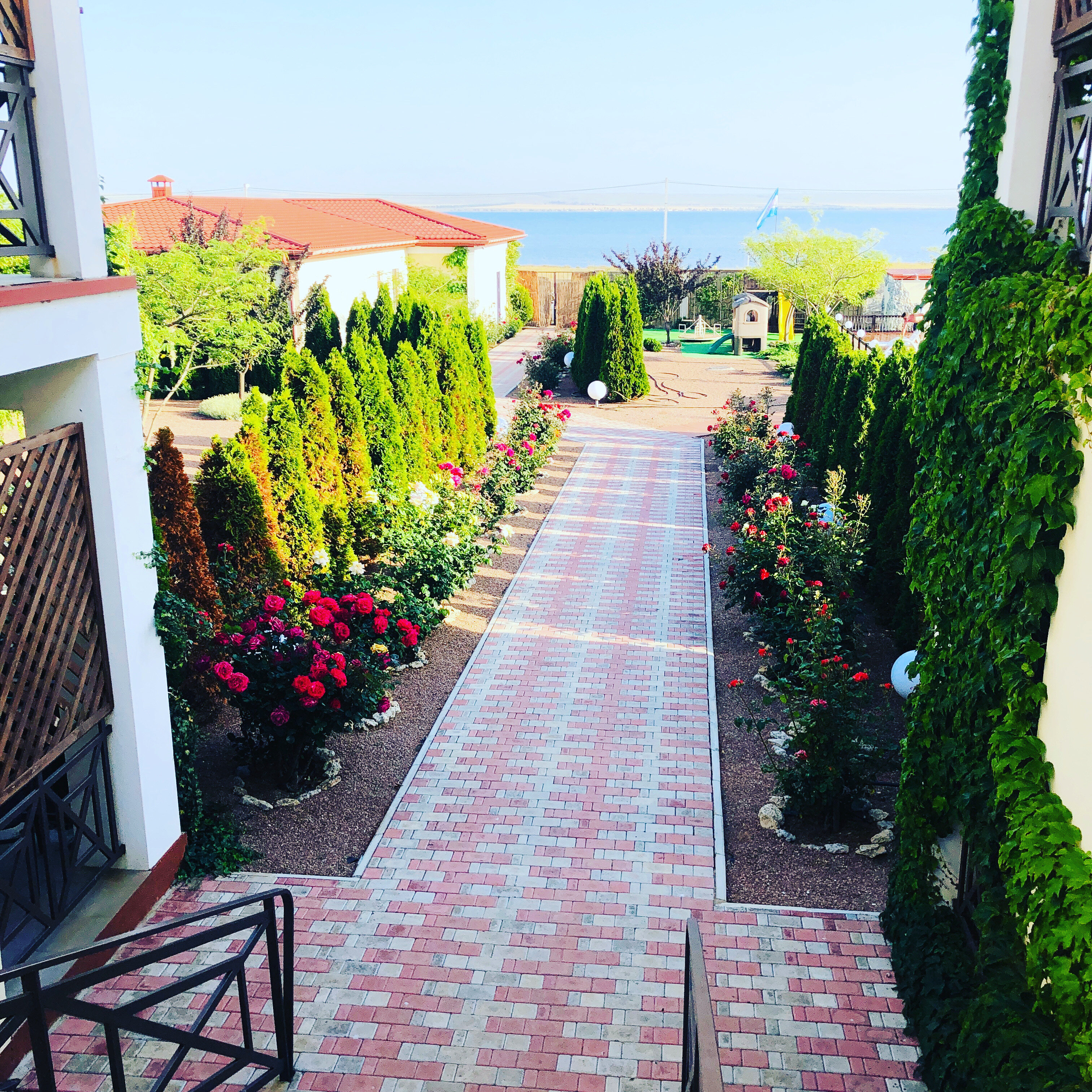 Фото Амидея