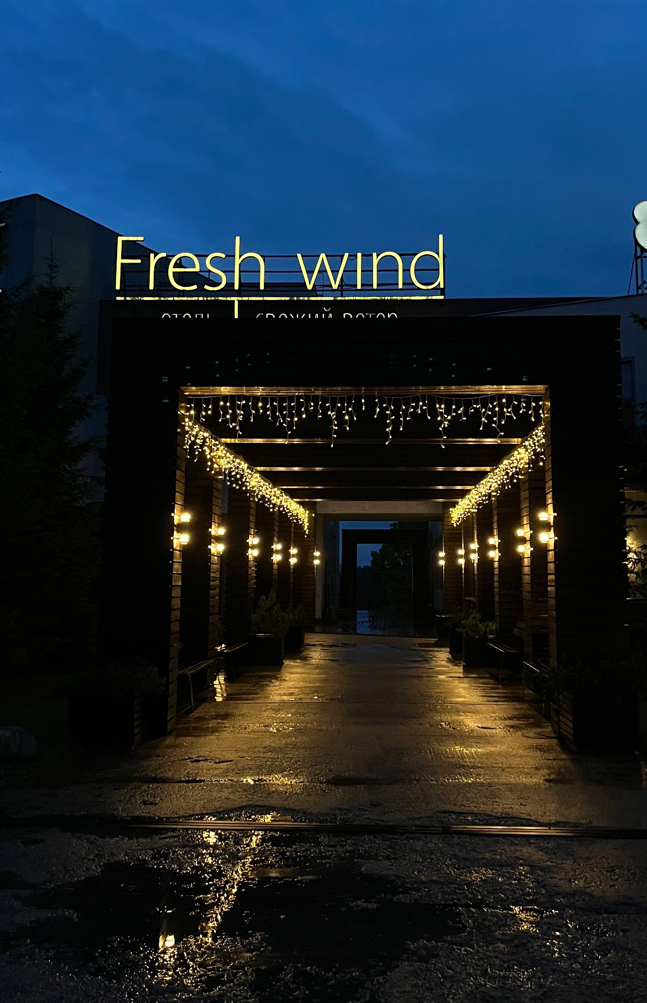 Фото Свежий ветер