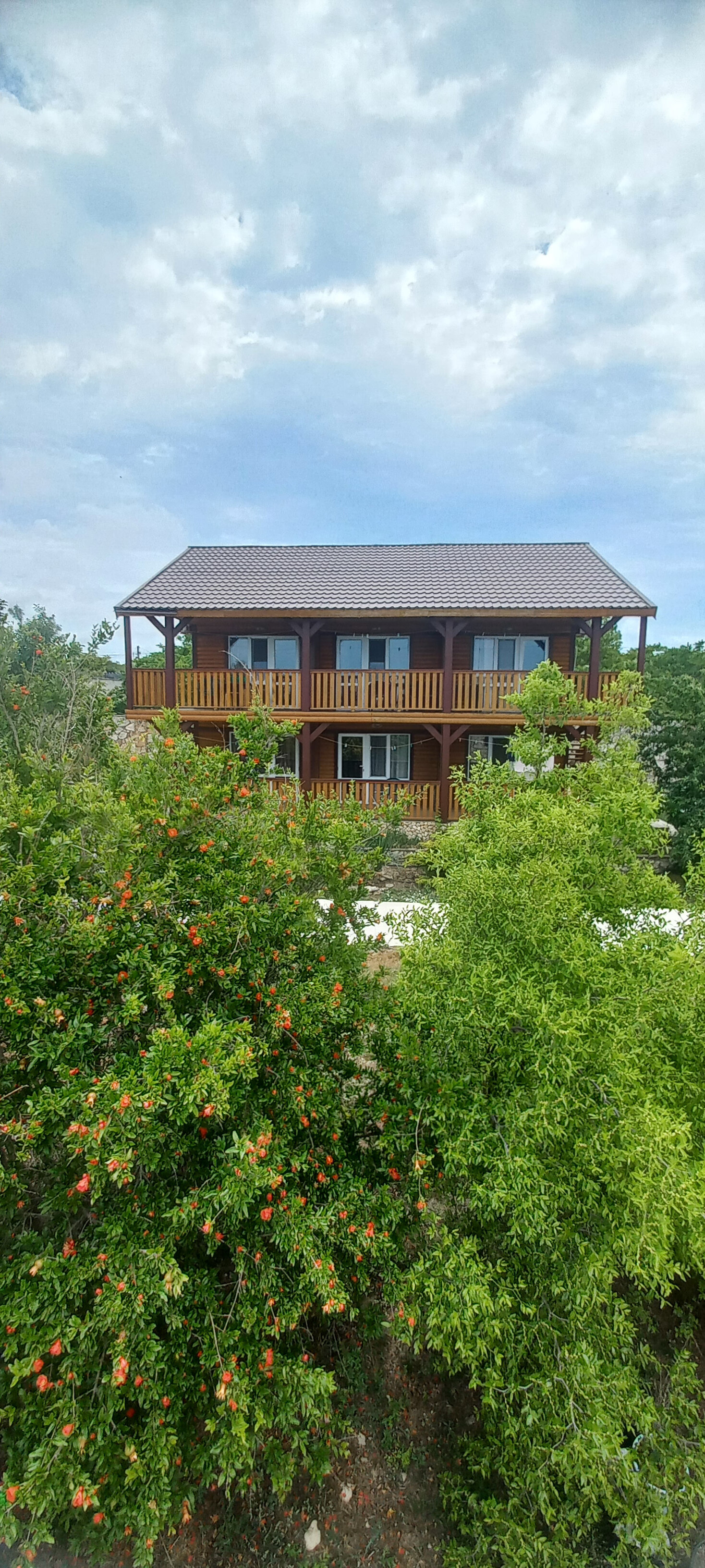 Фото Занзибар