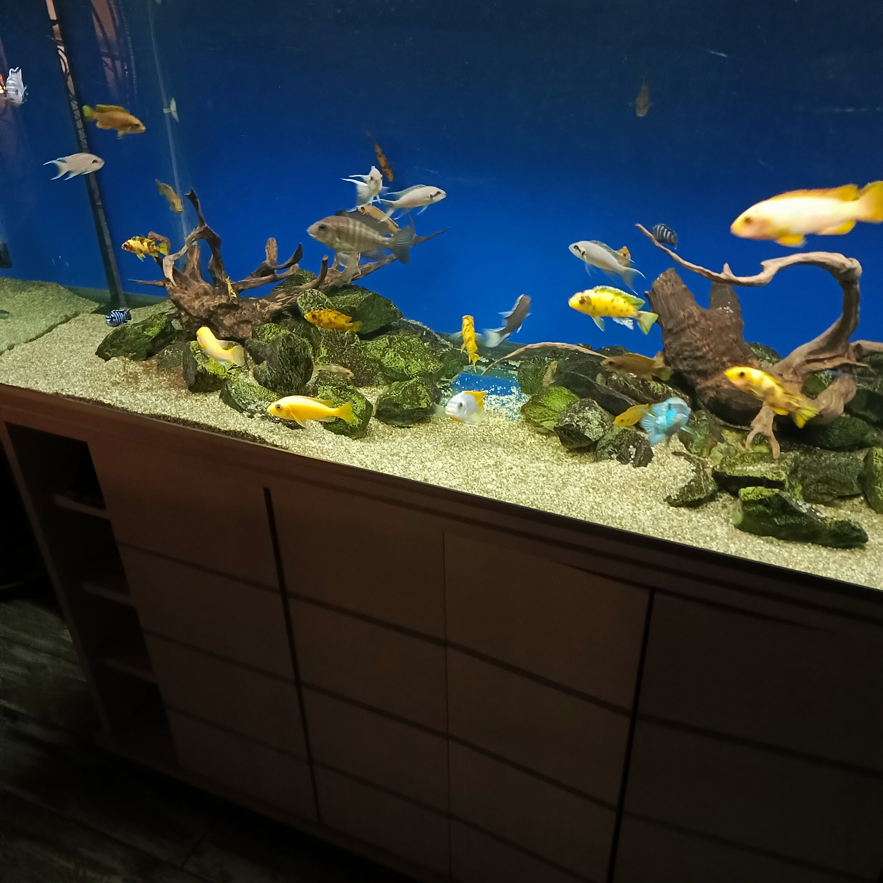 Фото У Оксаны