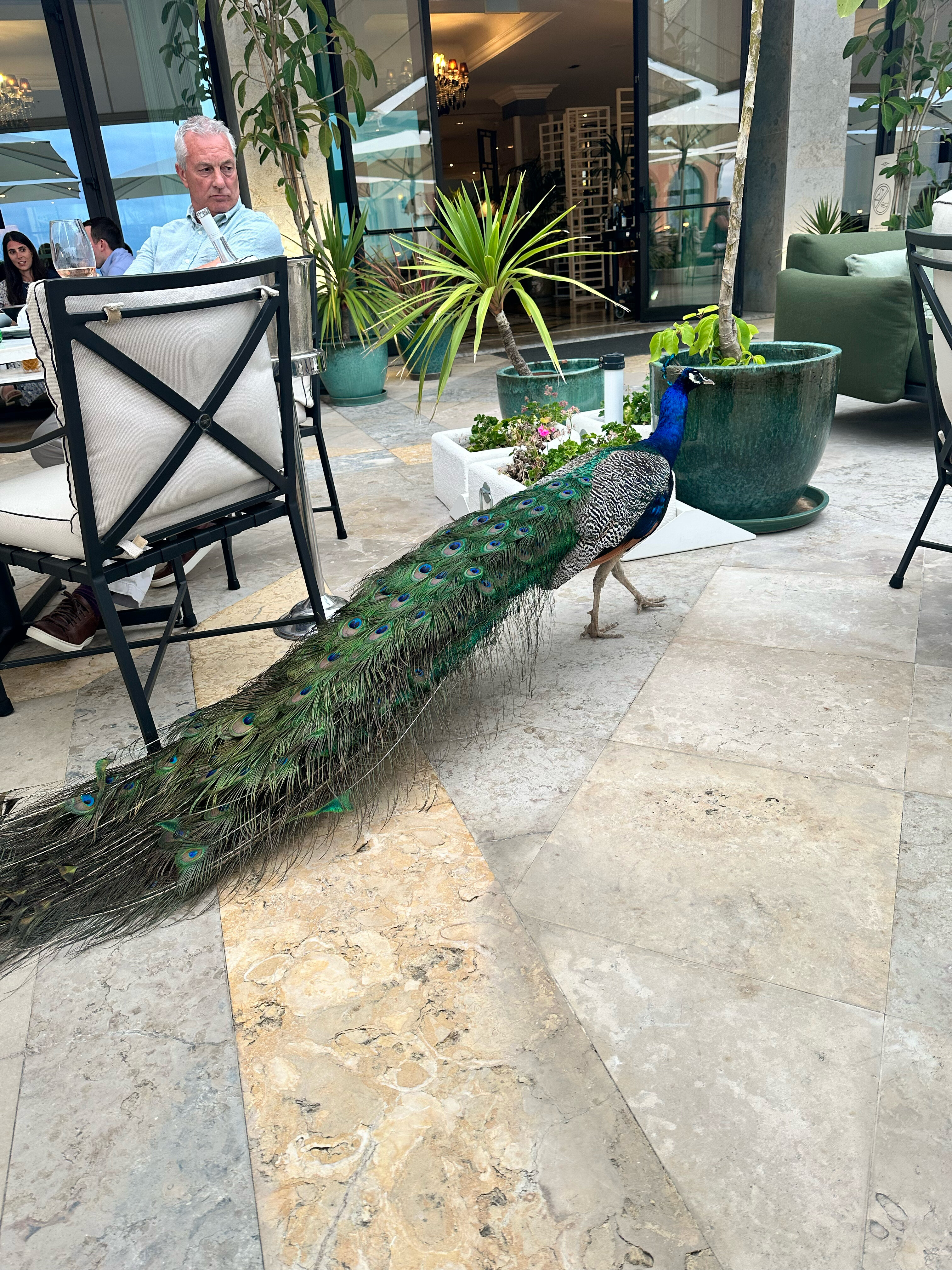 Фото Grande Real Villa Itália Hotel & SPA