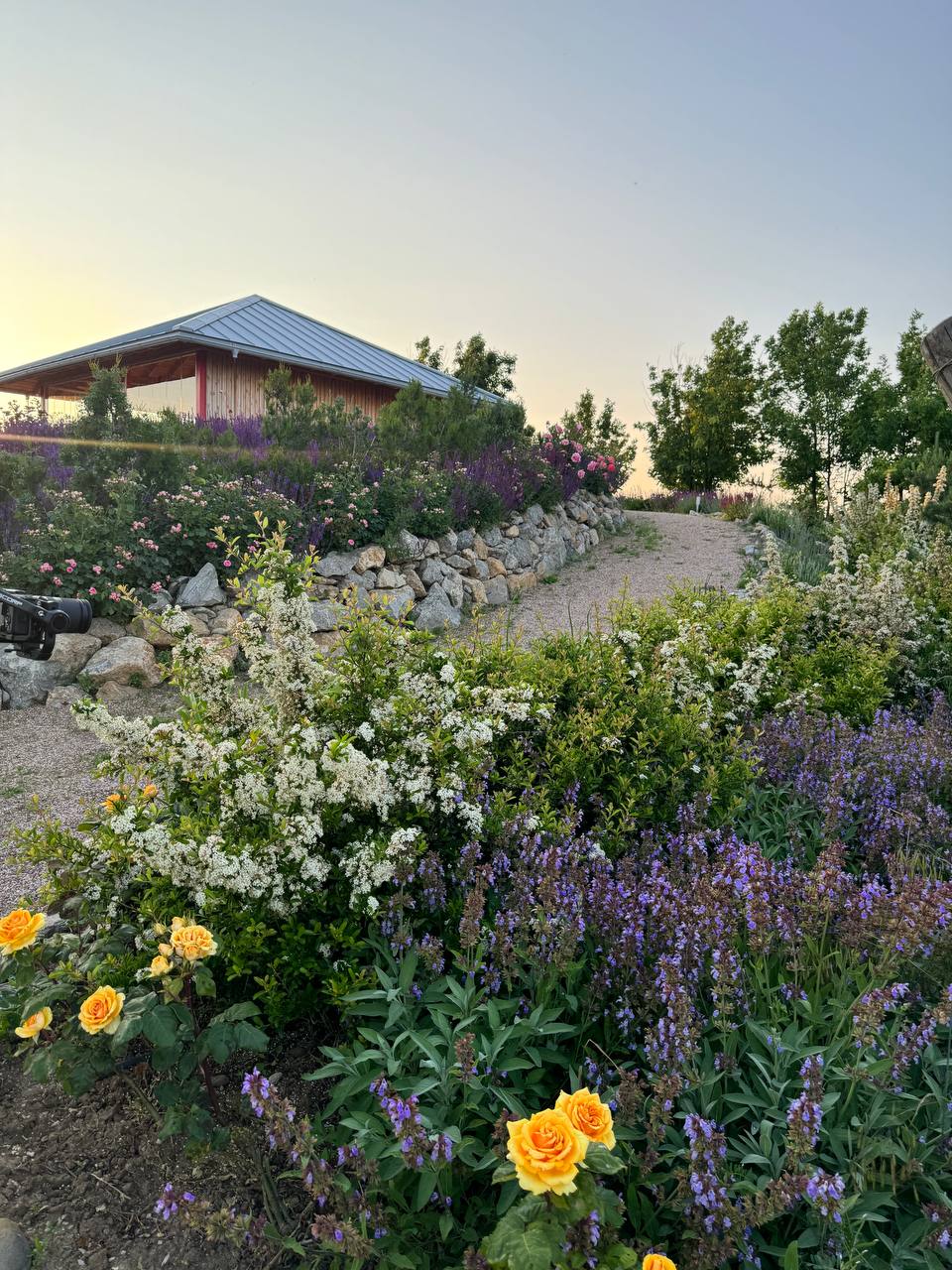 Фото Villa Romanov Wine Club & SPA