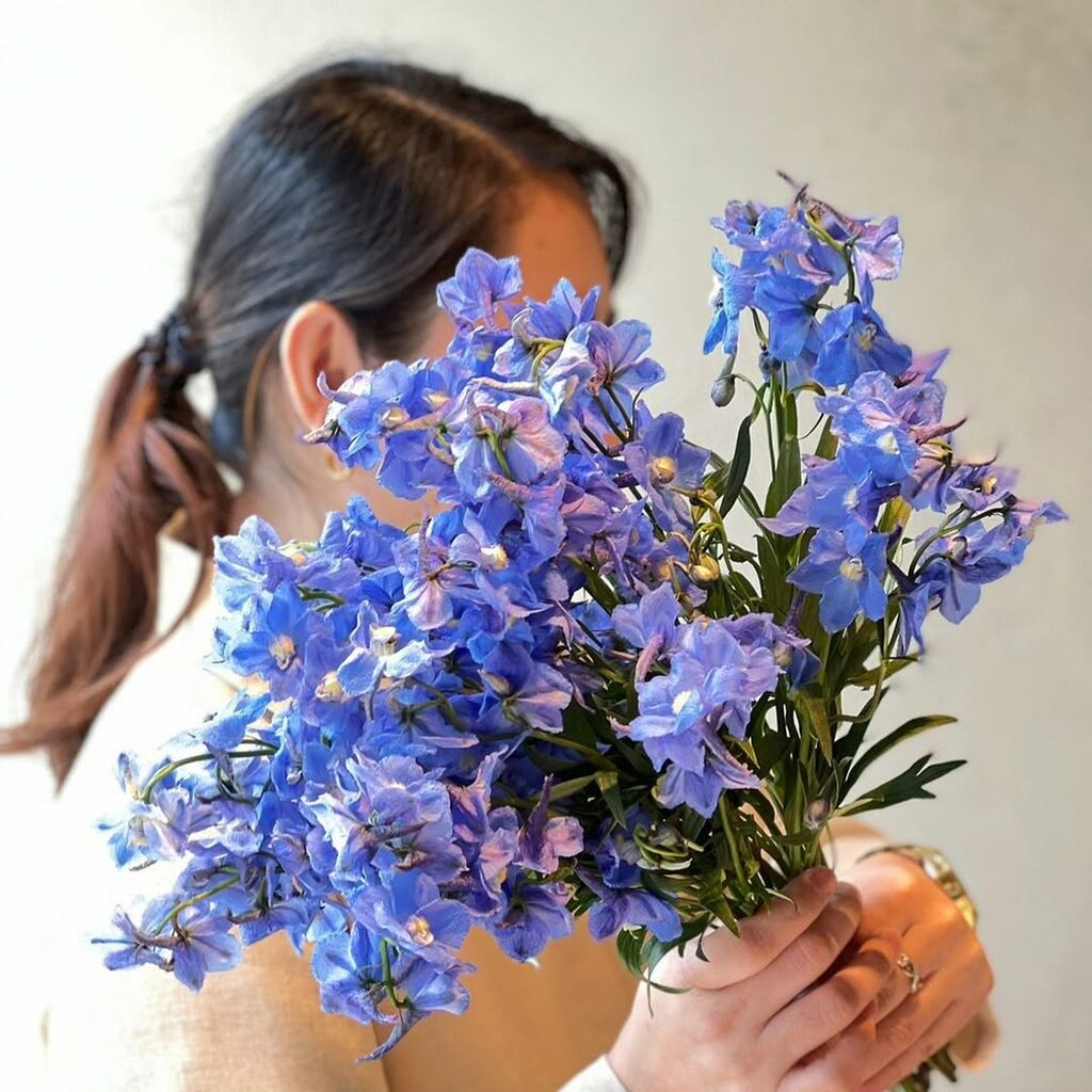 Organization and maintenance of exhibitions One 618 Studio, Dubai, photo