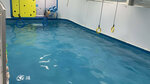 Мокка (Rostov-on-Don, Korolyova Avenue, 6/2), swimming pool