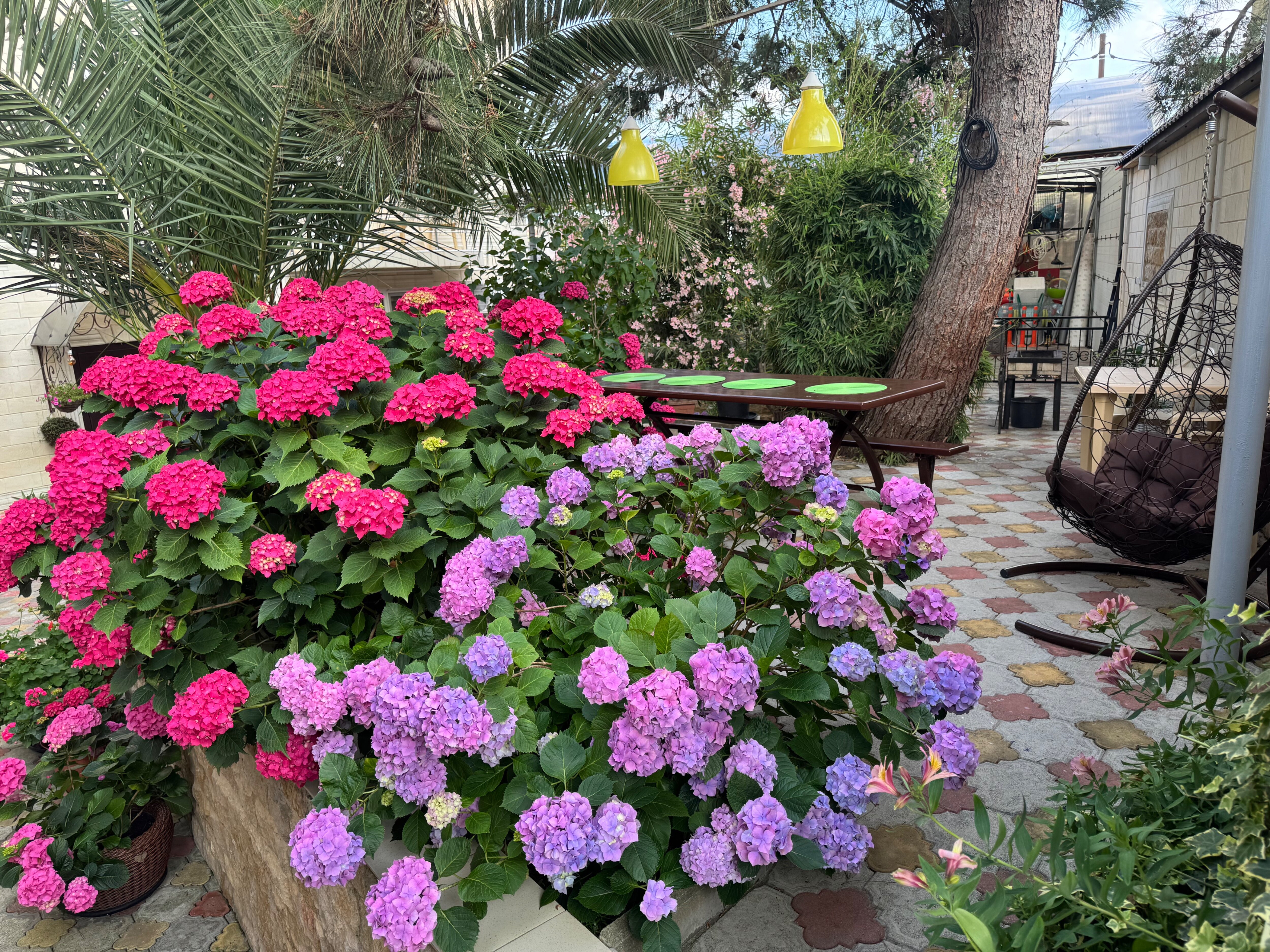 Фото Виктория