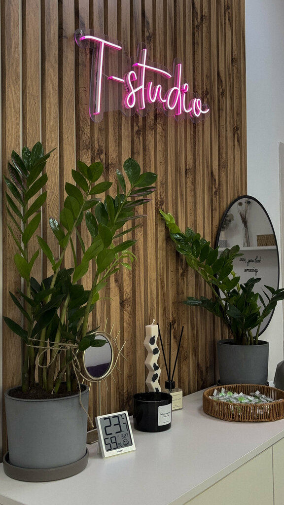 Eyebrow and eyelash salon T-studio, Mogilev, photo