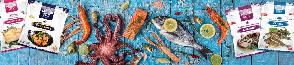 Fisheries, fish farming Master Food Gida Lojistik, Izmir, photo