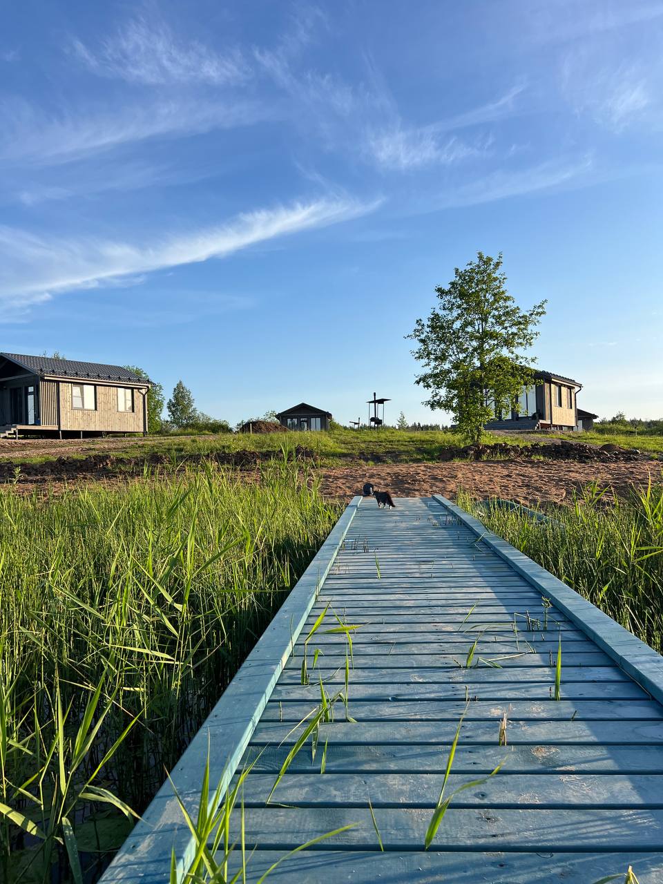 Фото Мыза Иногоща