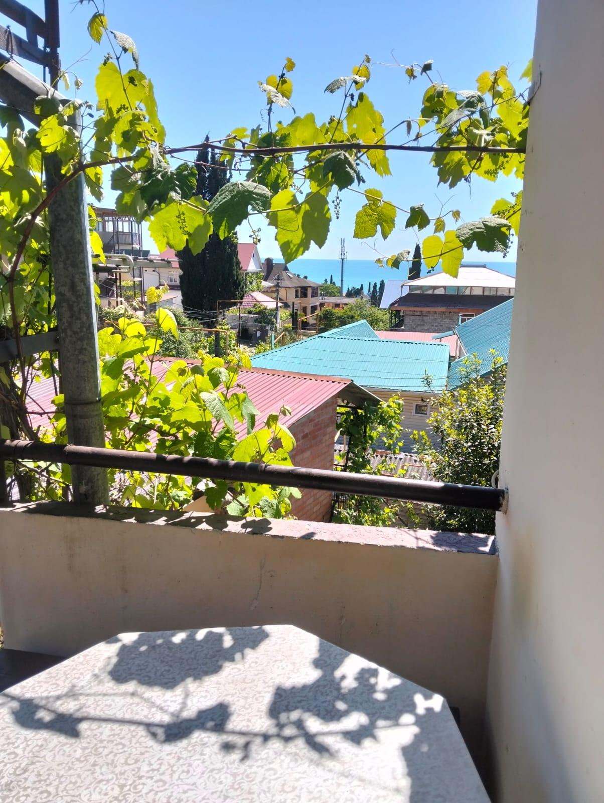 Фото Под пальмой