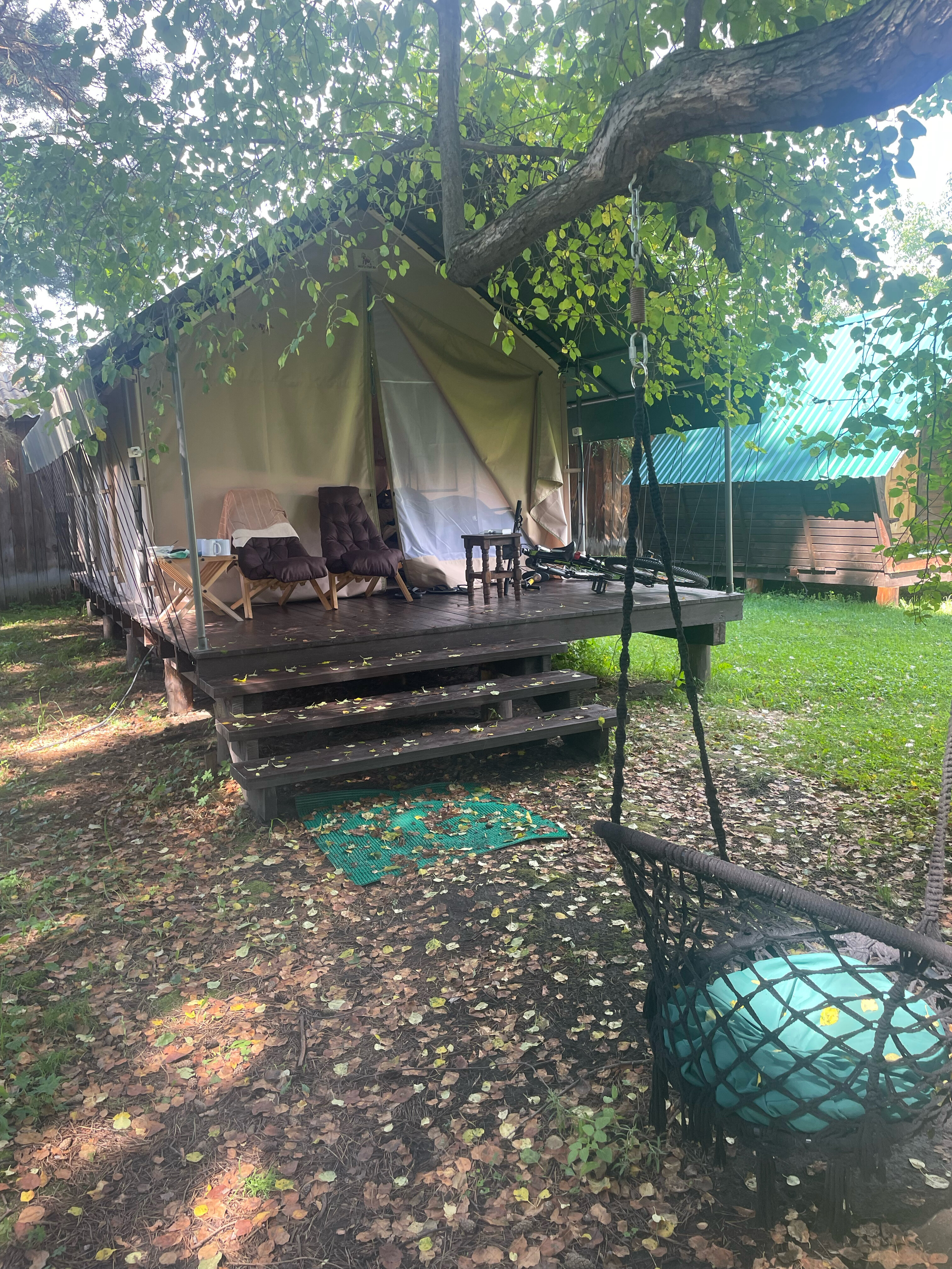 Фото Лесная семья