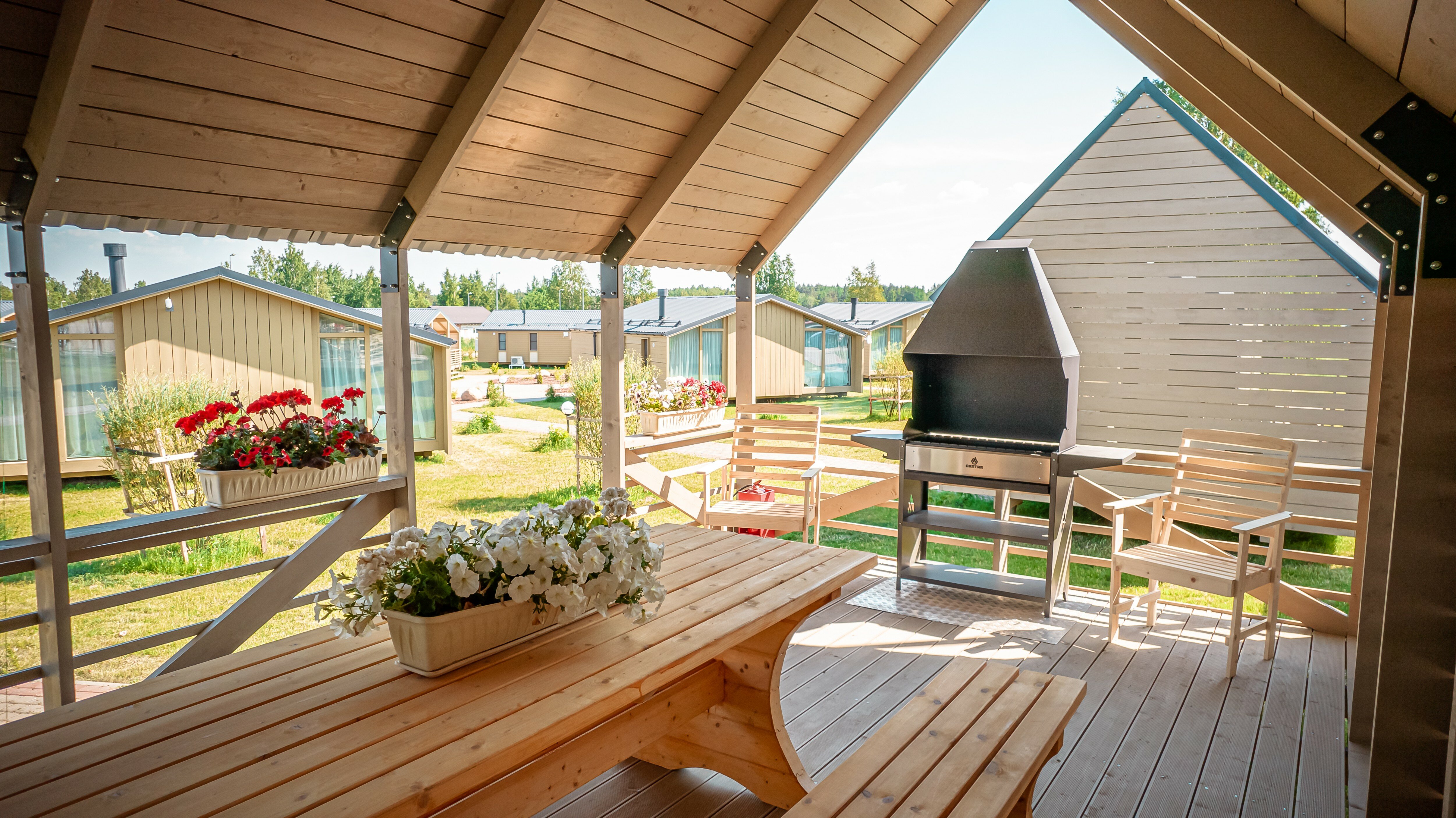 Фото Земляничные Поляны