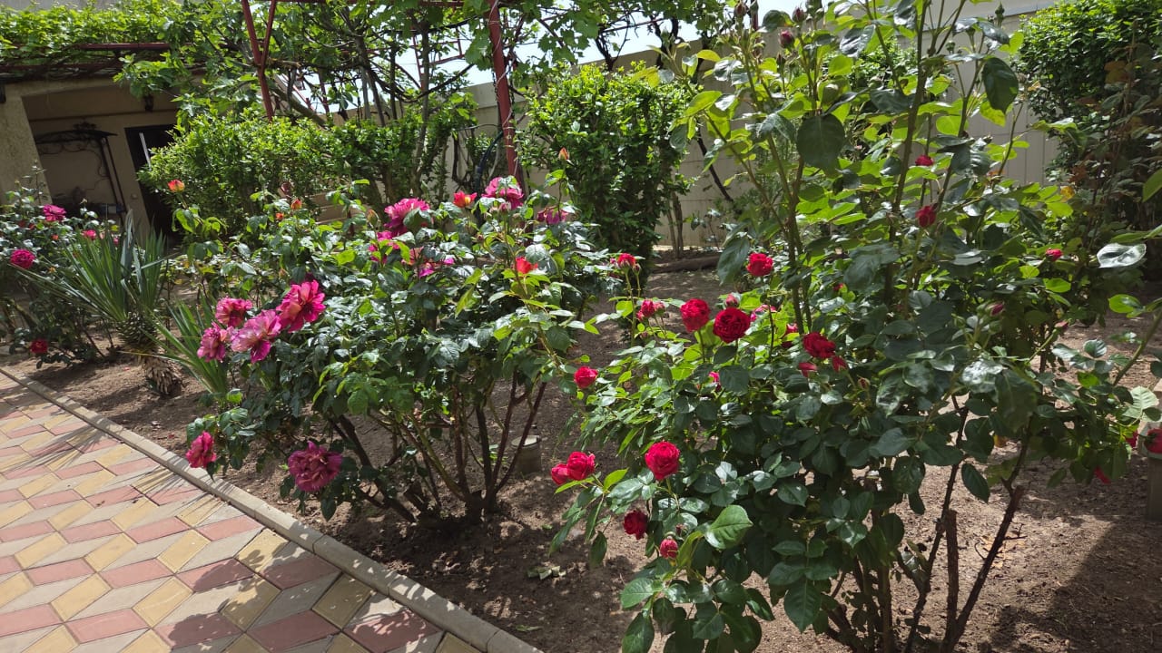 Фото Гостевой дом на Морской