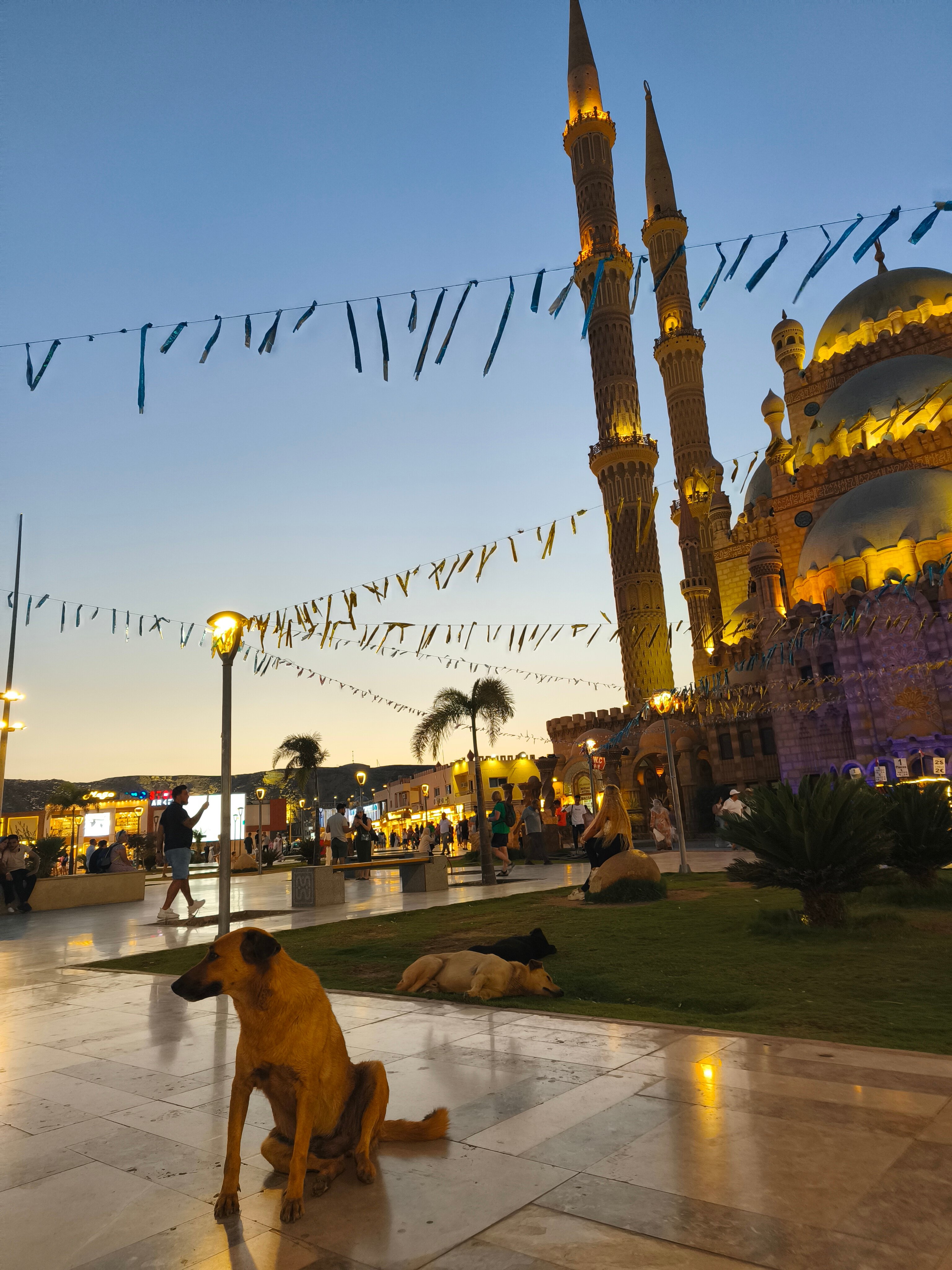 Фото Reef Oasis Beach