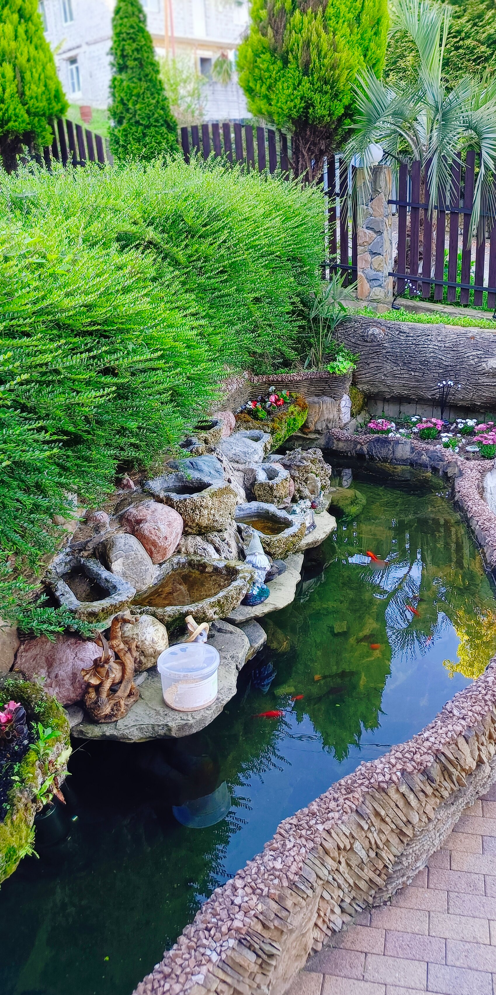 Фото Олимпик