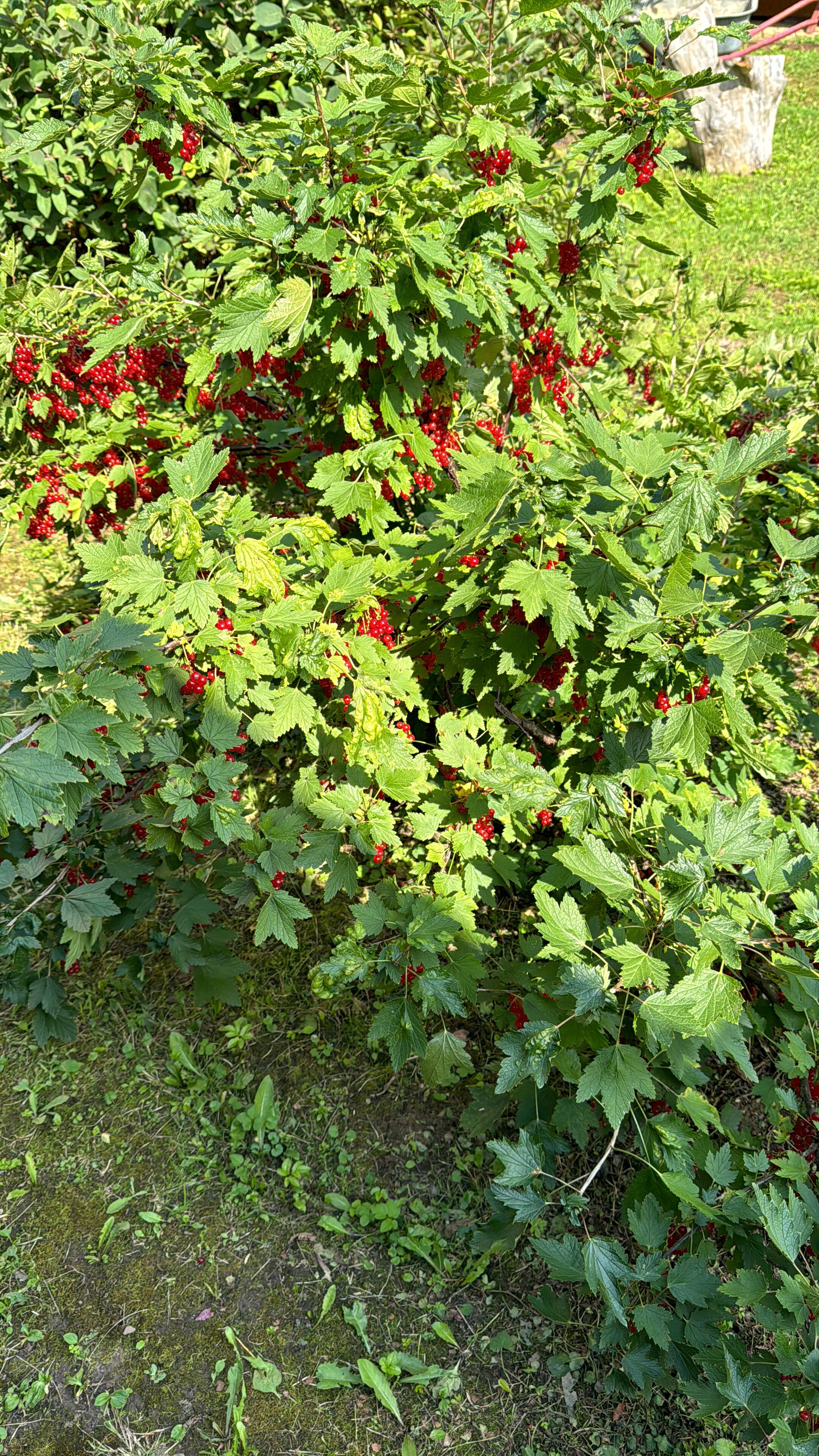 Фото Дальнобойщик