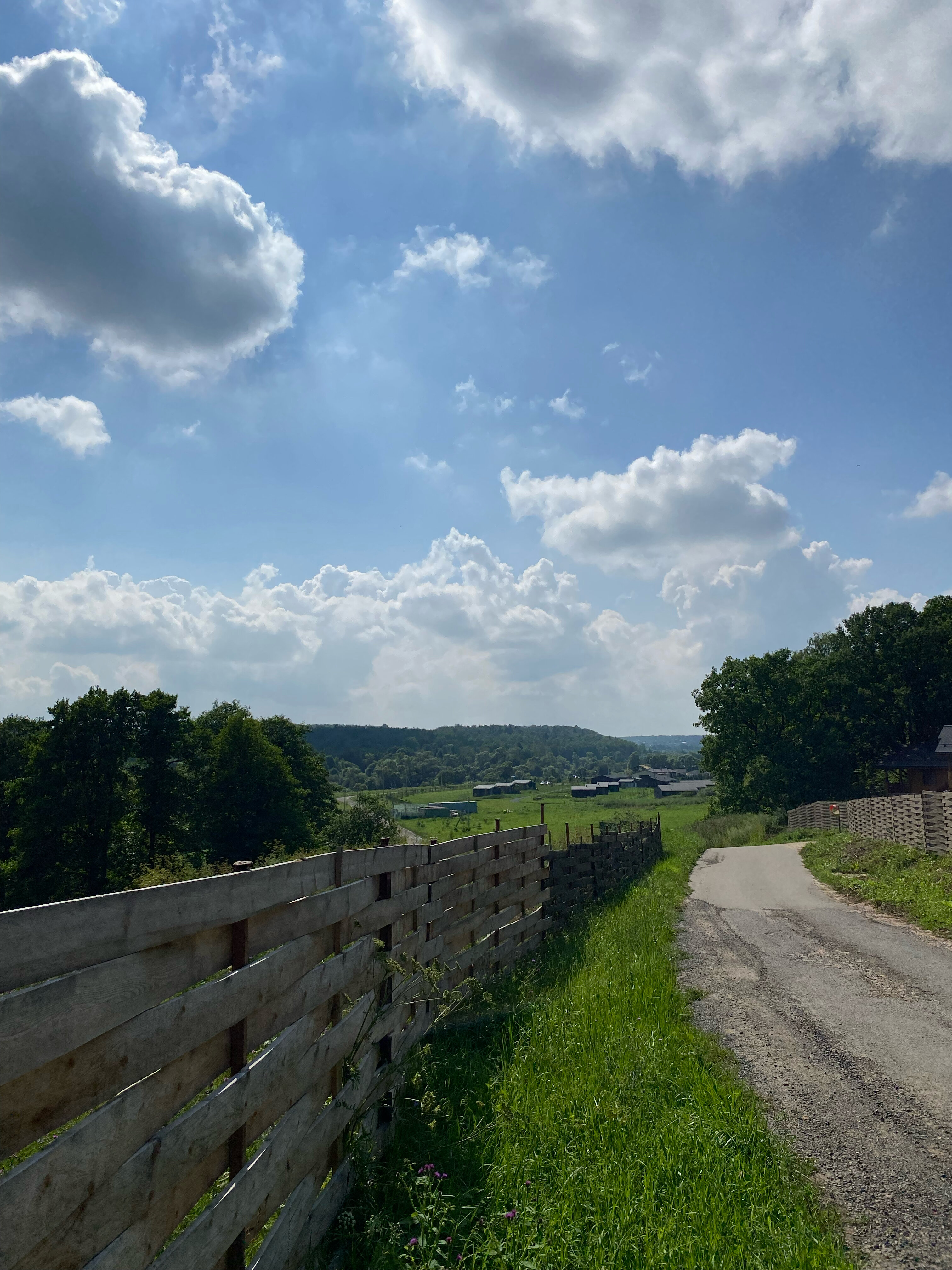 Фото Лисичкин холм