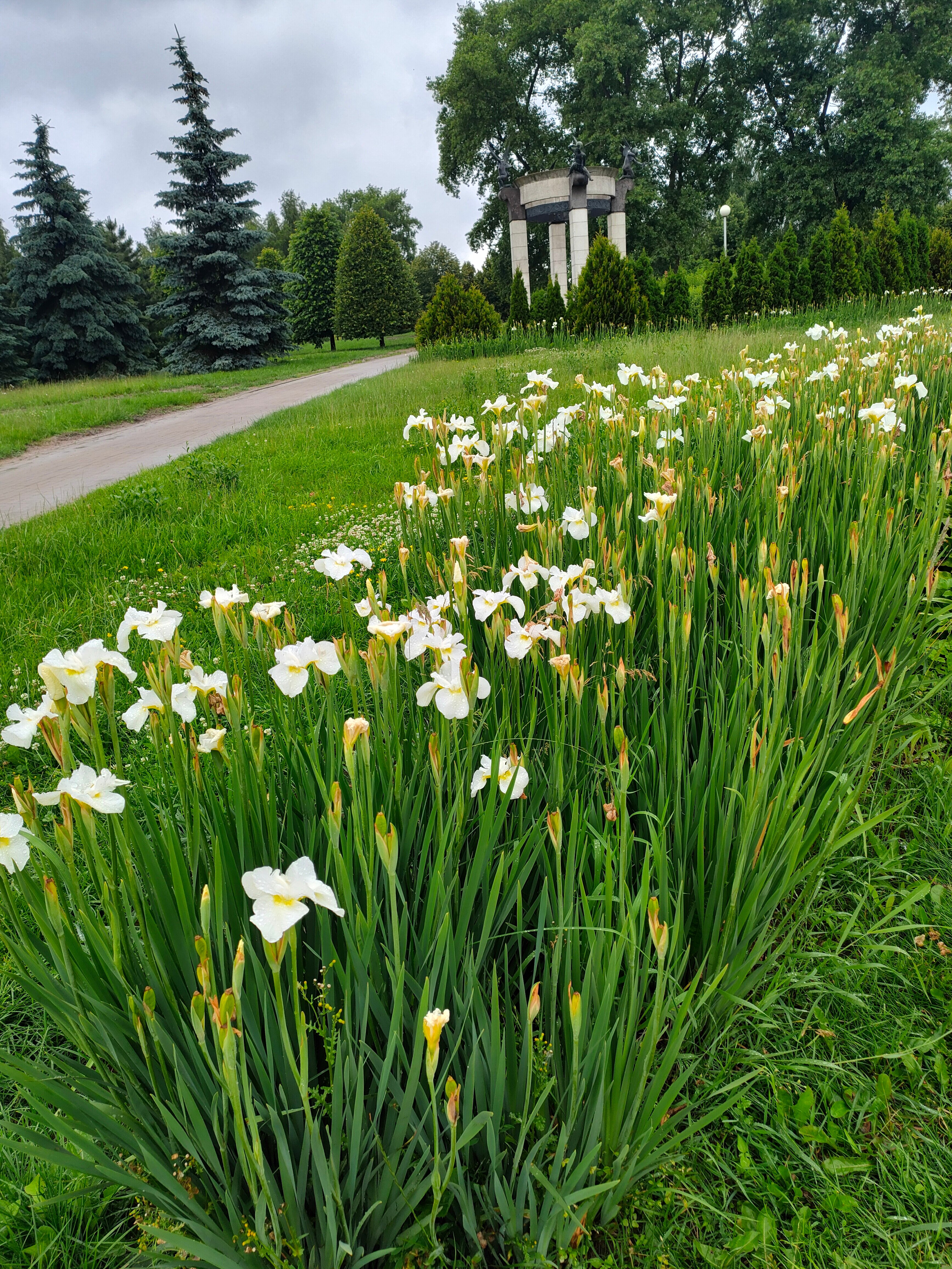 Фото Гостиница Беларусь