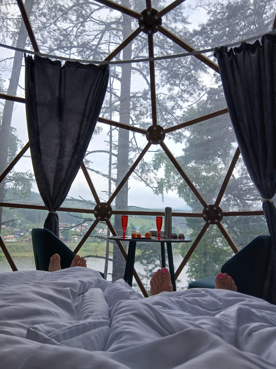 Фото Брусника