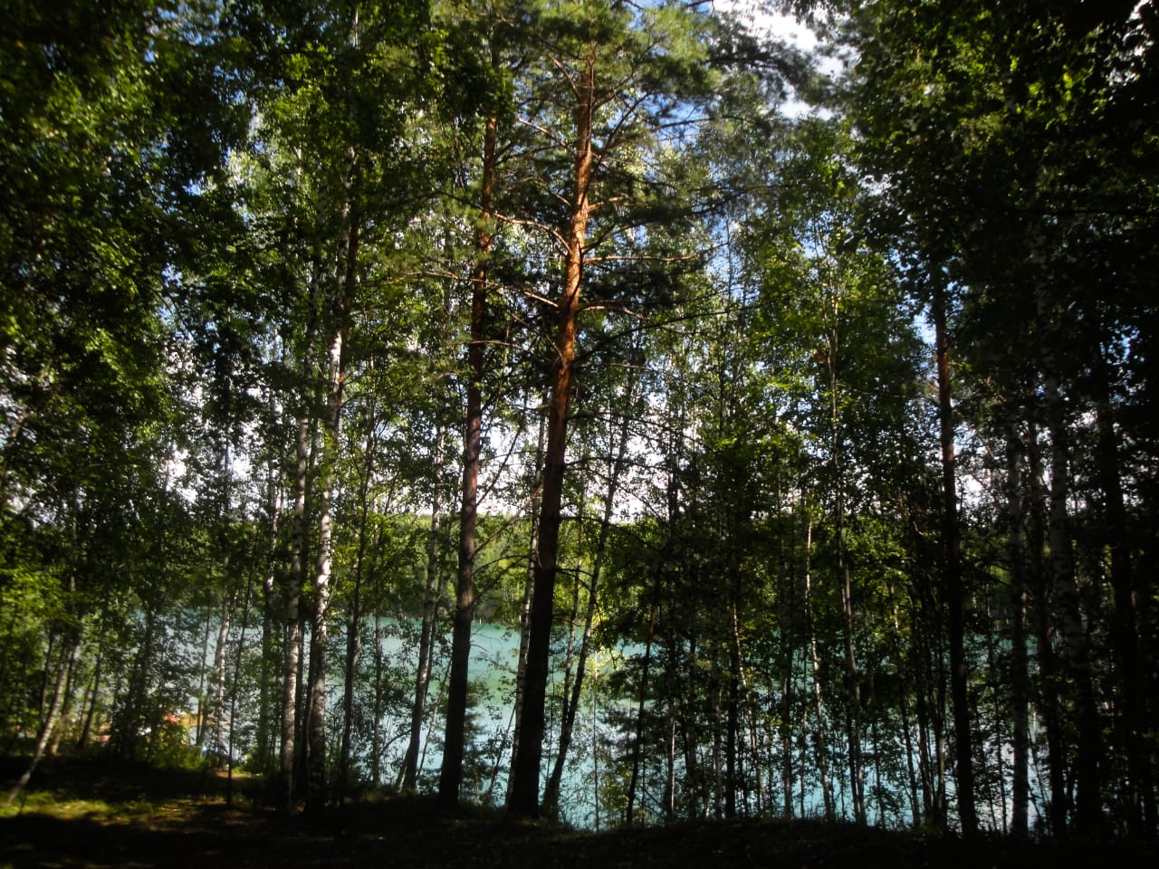 Фото База активного отдыха озеро Апрелька