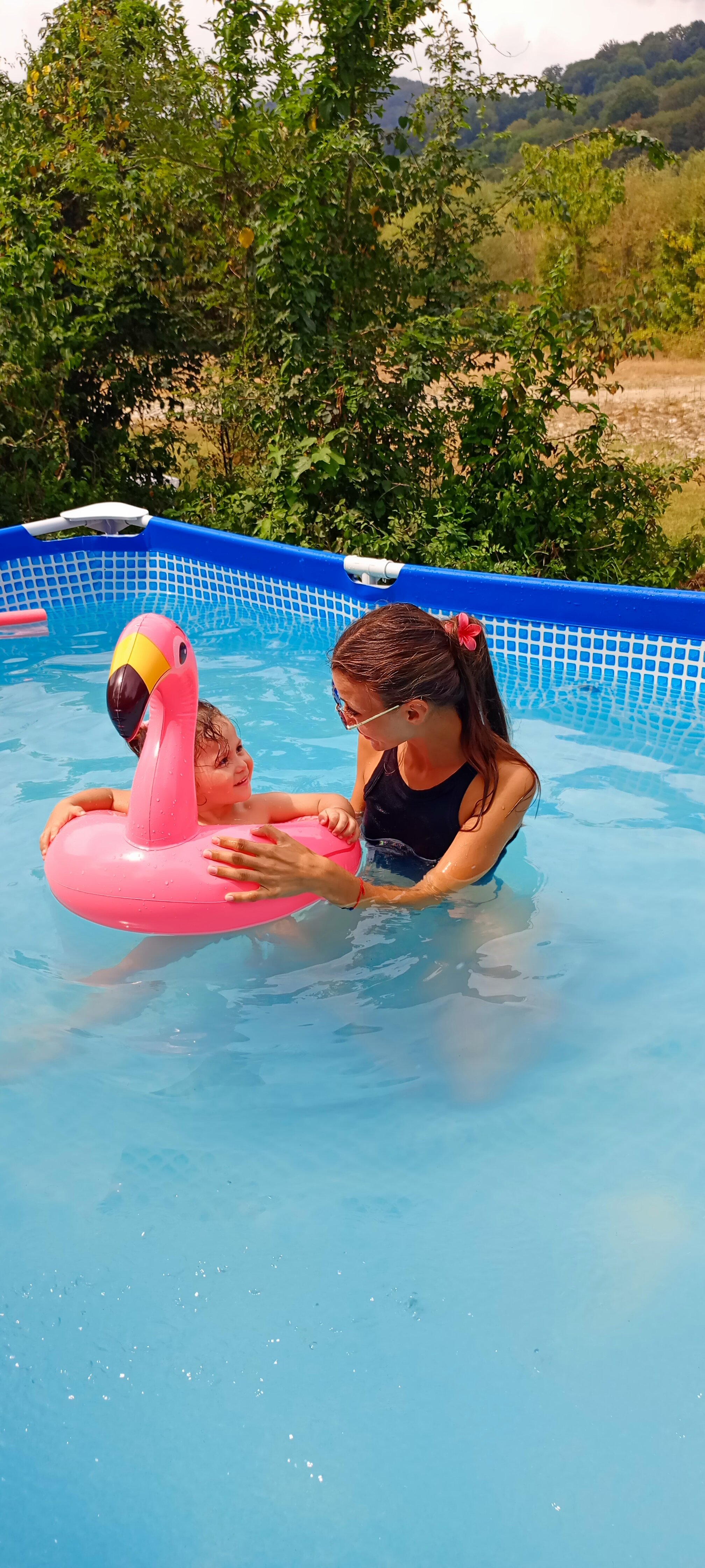 Фото Южный Вайб Древо