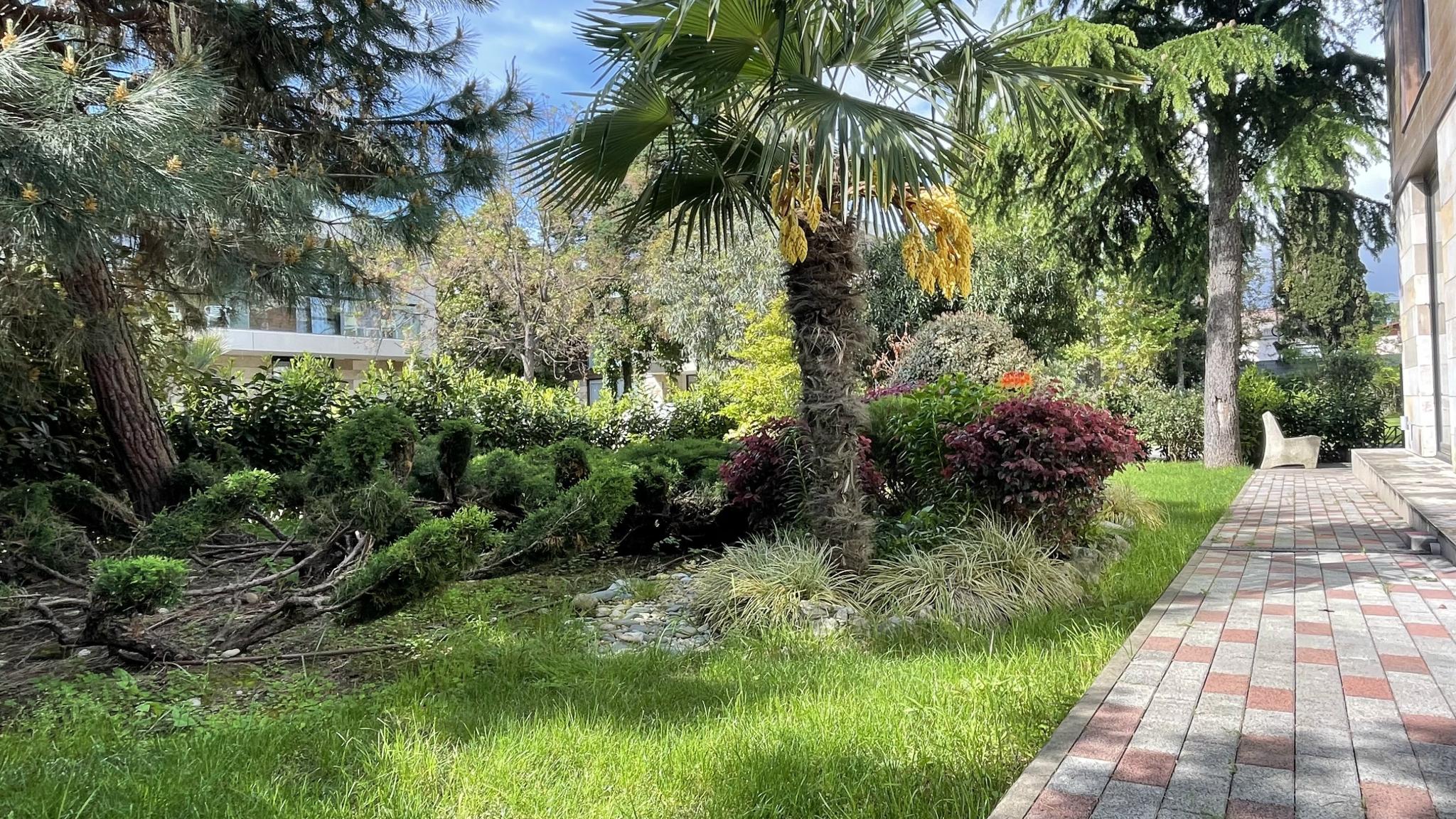 Фото Pulsar Villa Deluxe